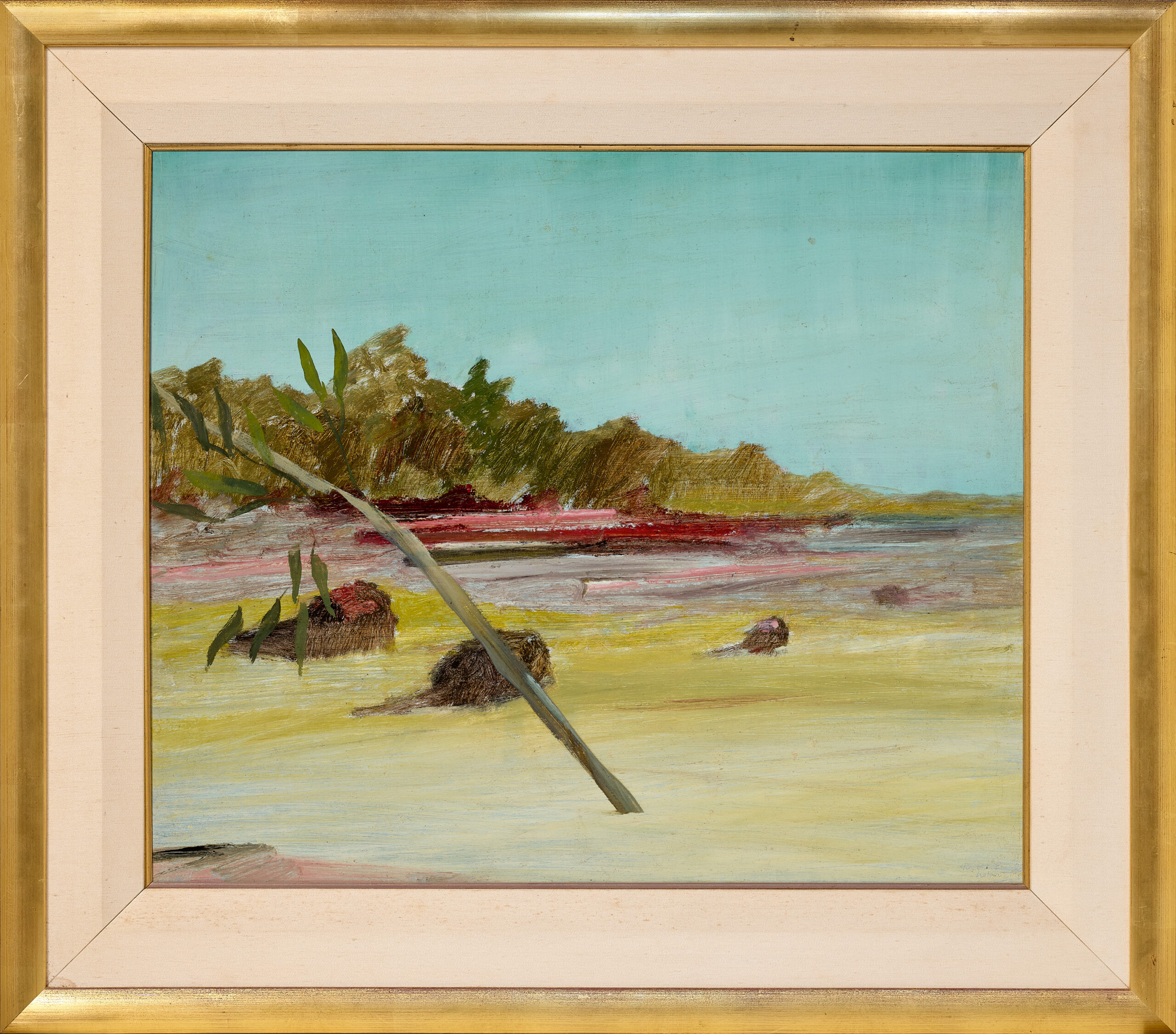 Queensland beach scene