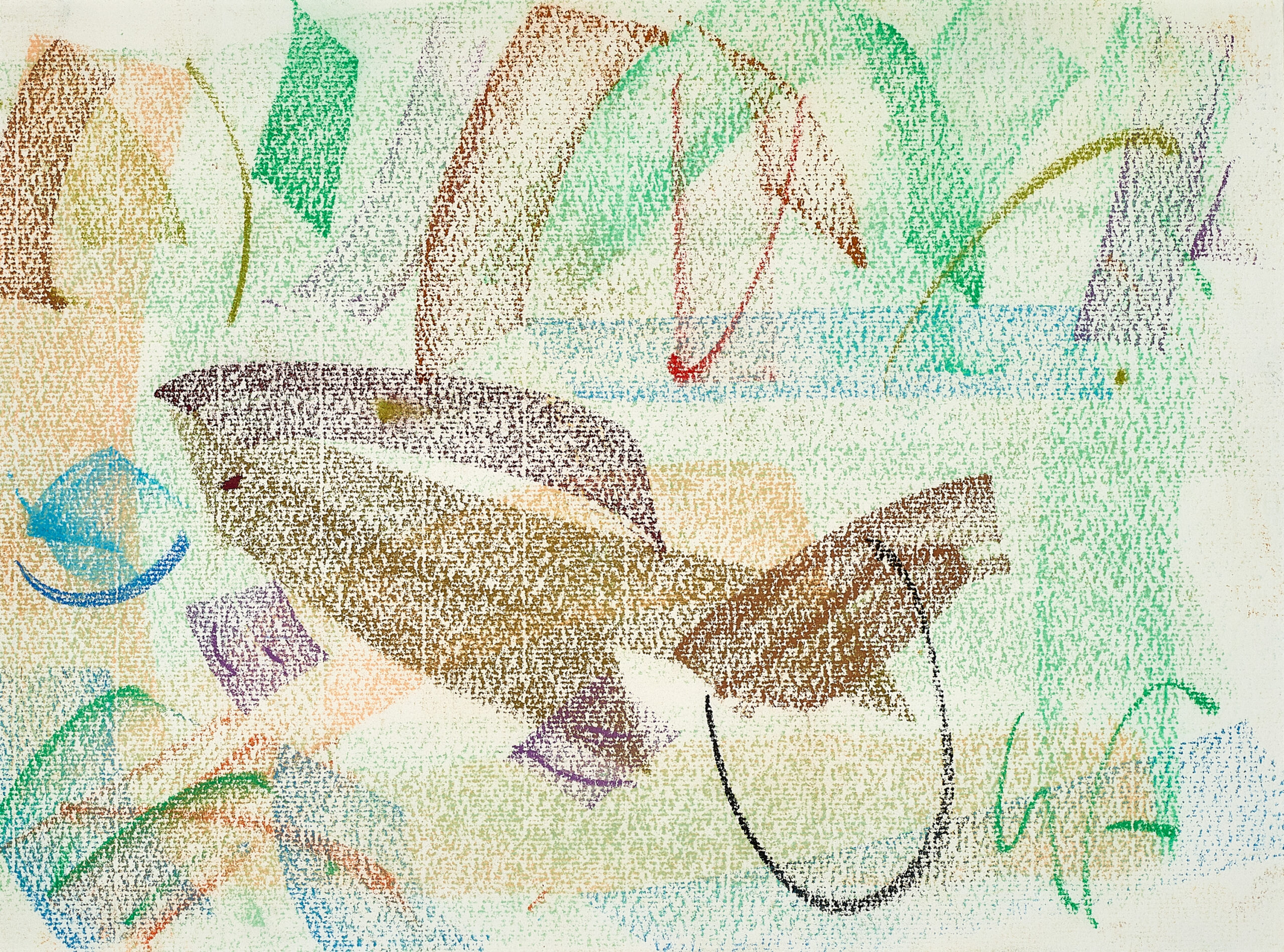Fish growing