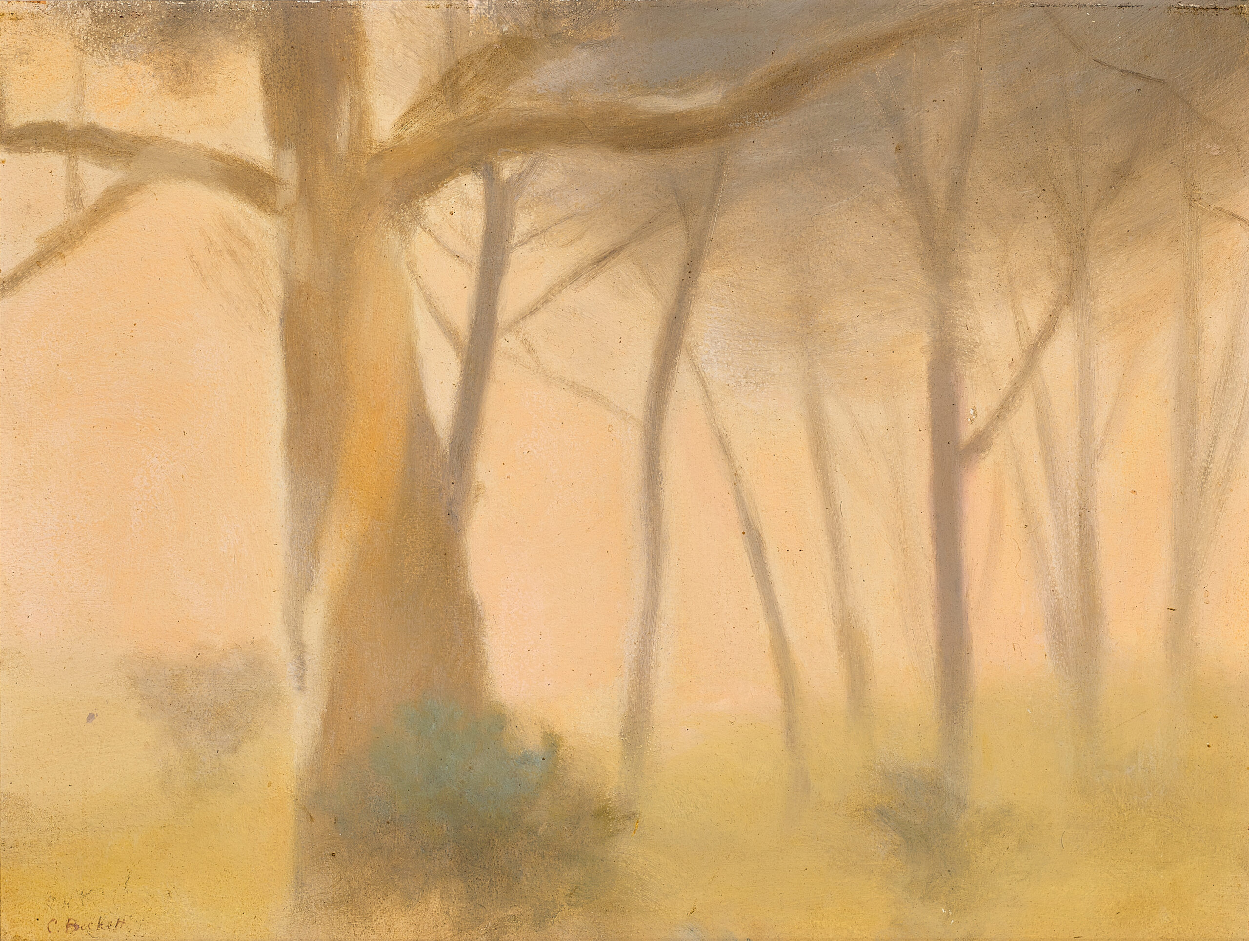Towards evening