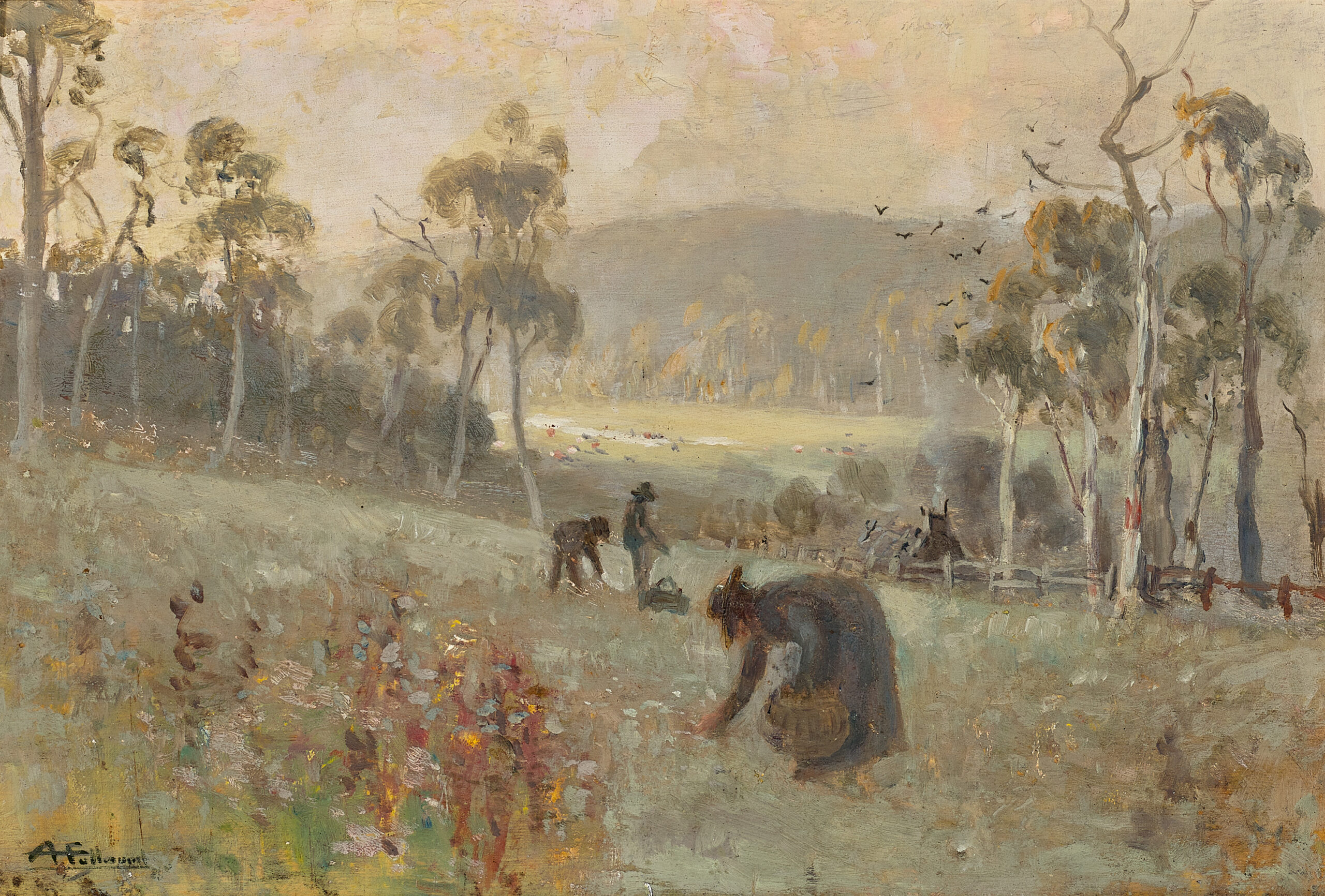 Gathering mushrooms