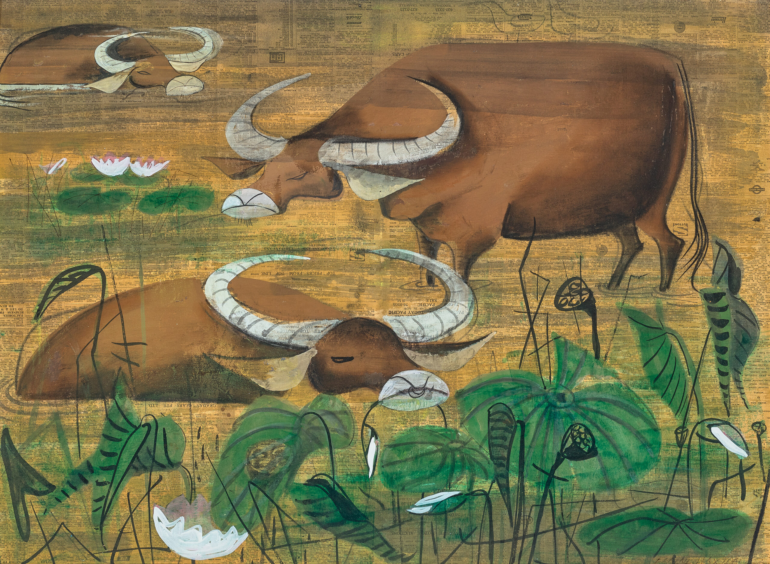 WATER BUFFALOES