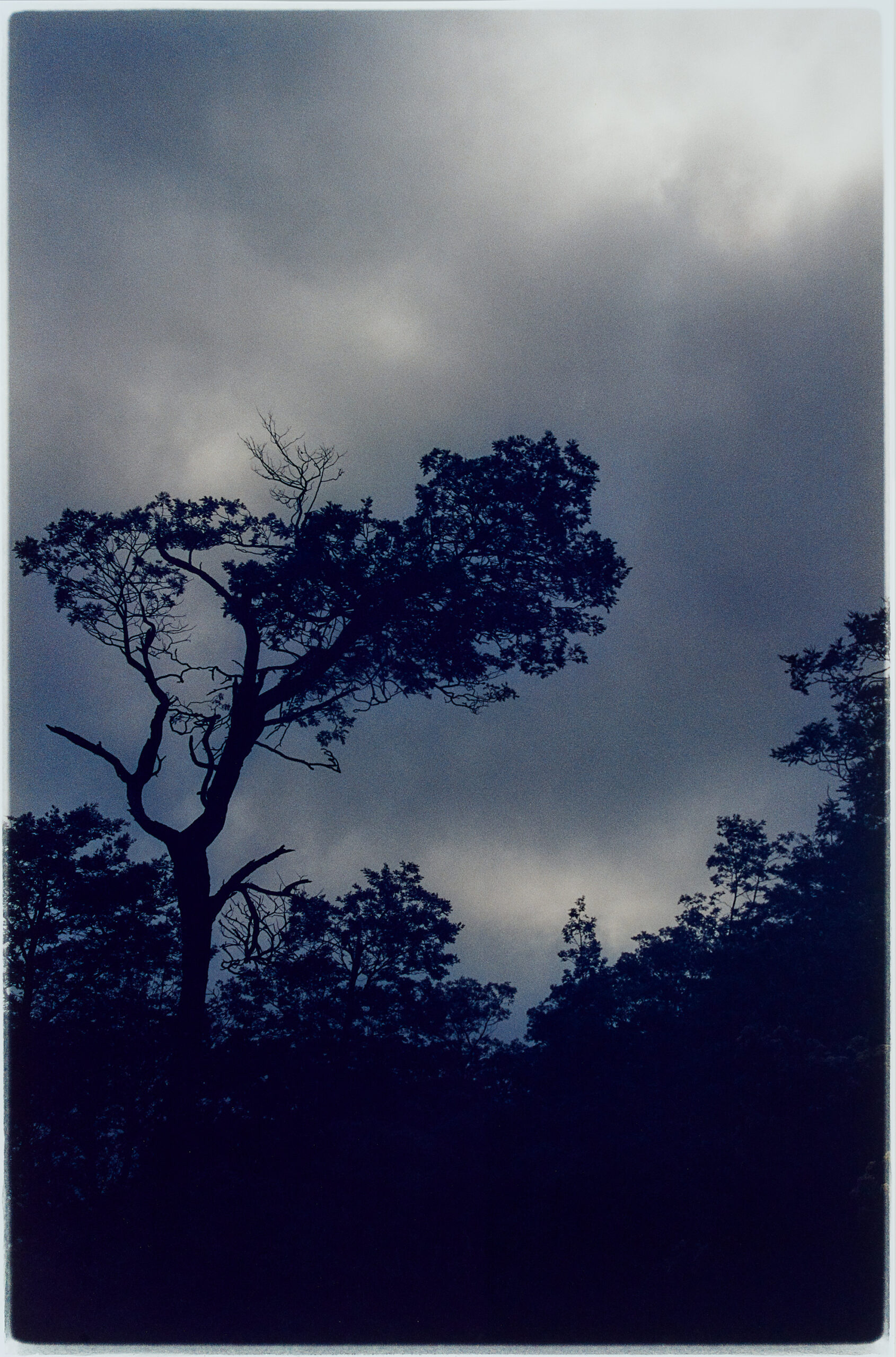 UNTITLED 1994/5 TRIPTYCH