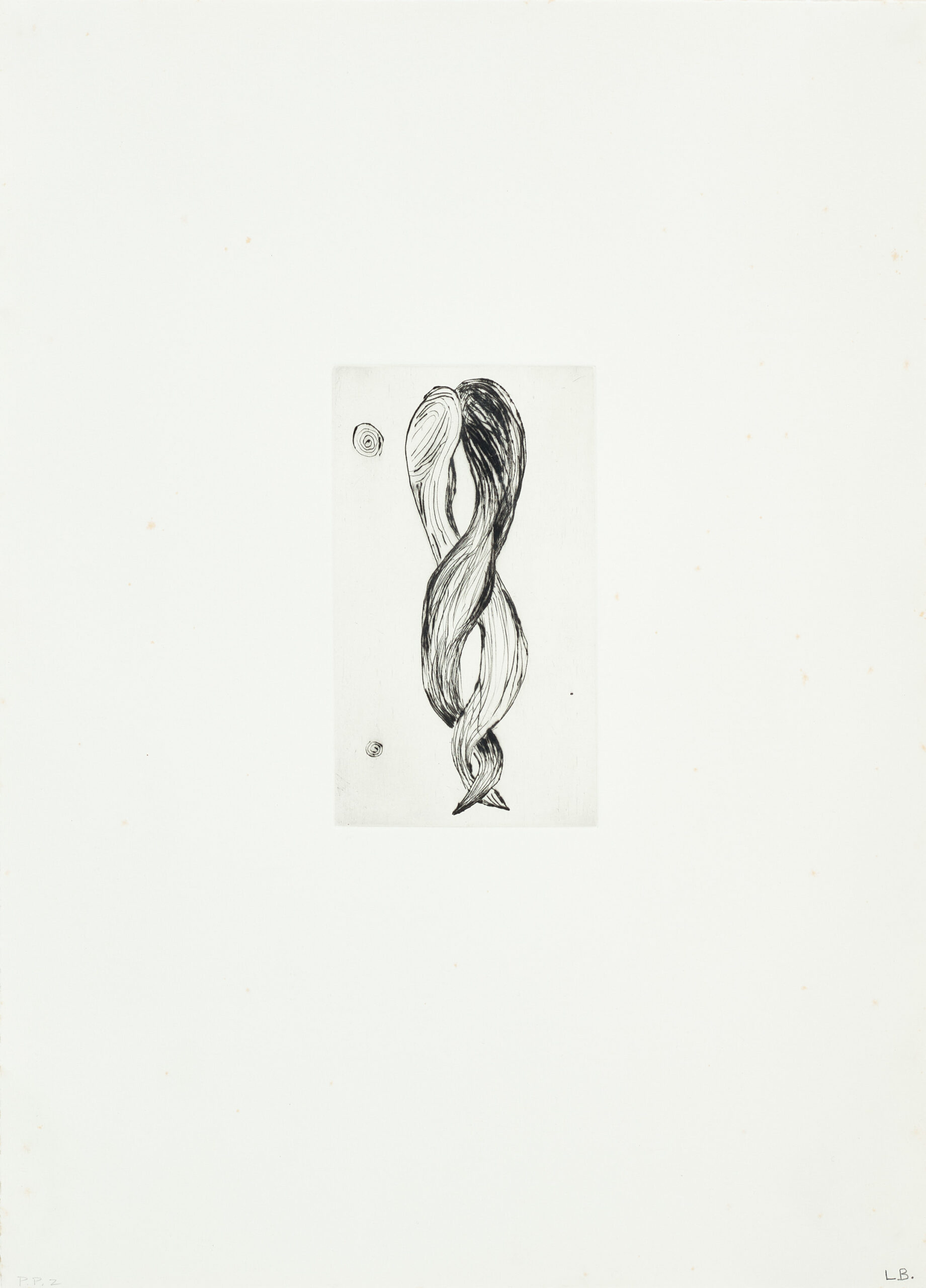UNTITLED (ATTEMPT AT MEETING; HAIR)