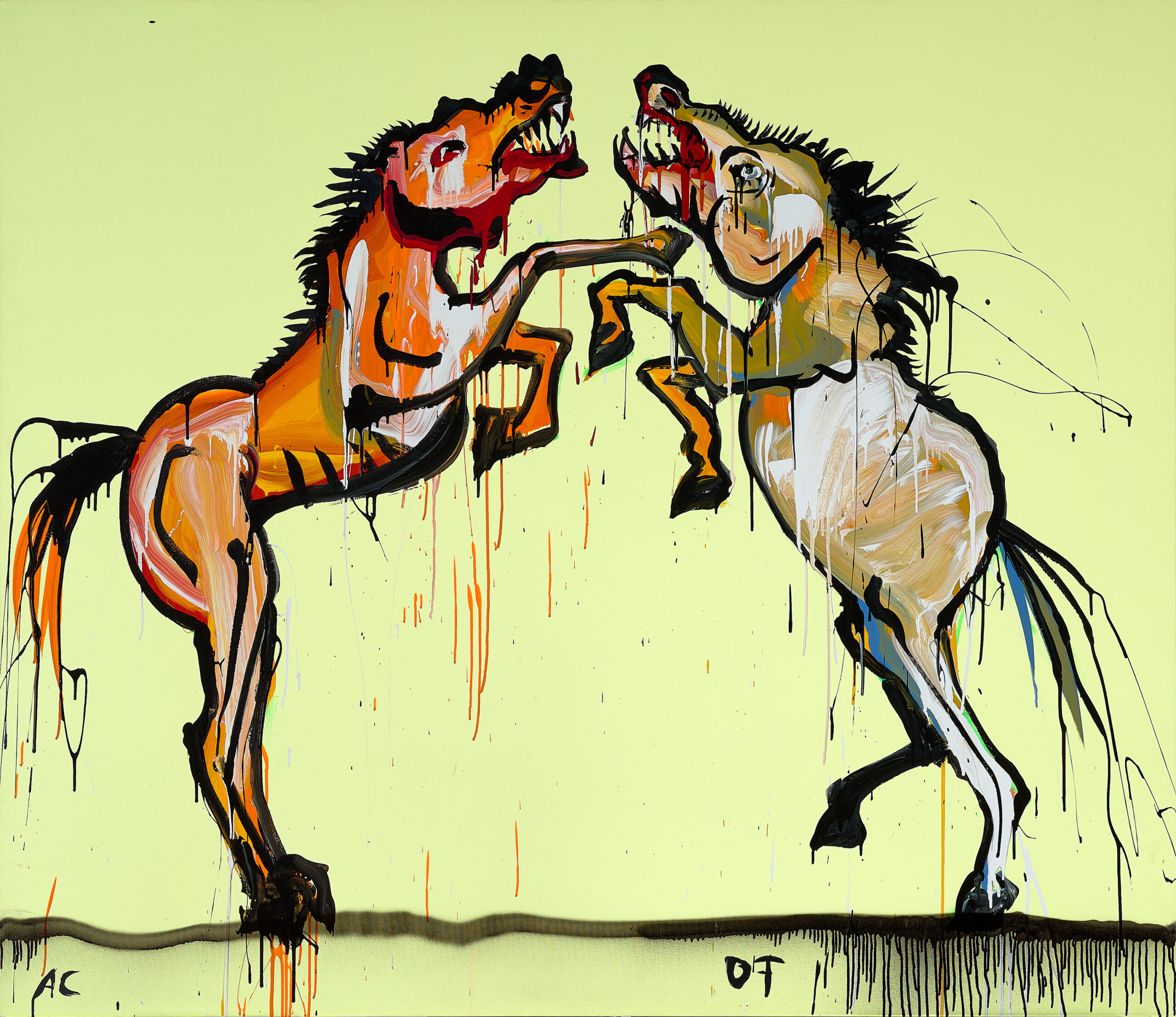 MONGOLIAN FIGHT STALLIONS