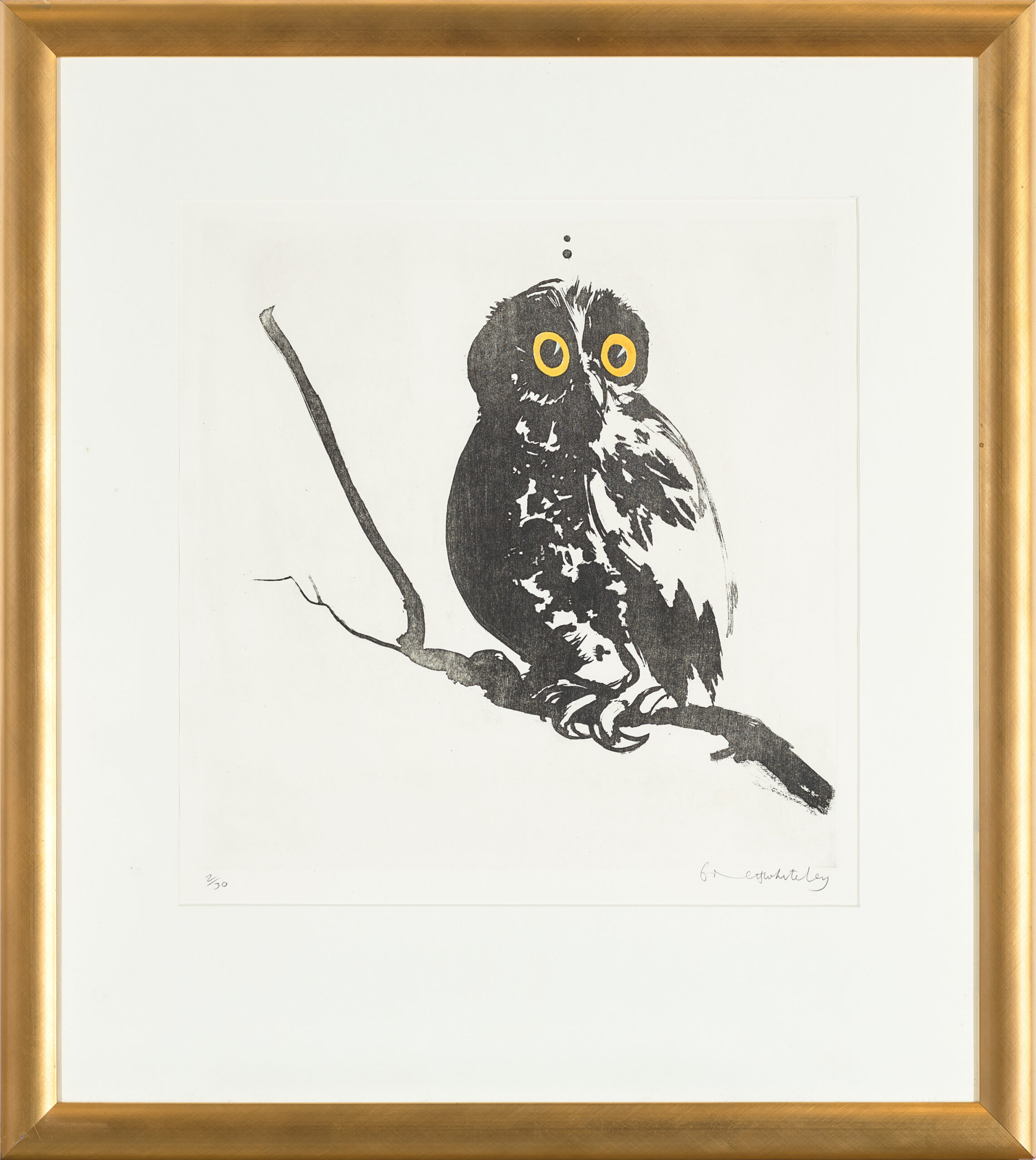 STARTLED (OWL)