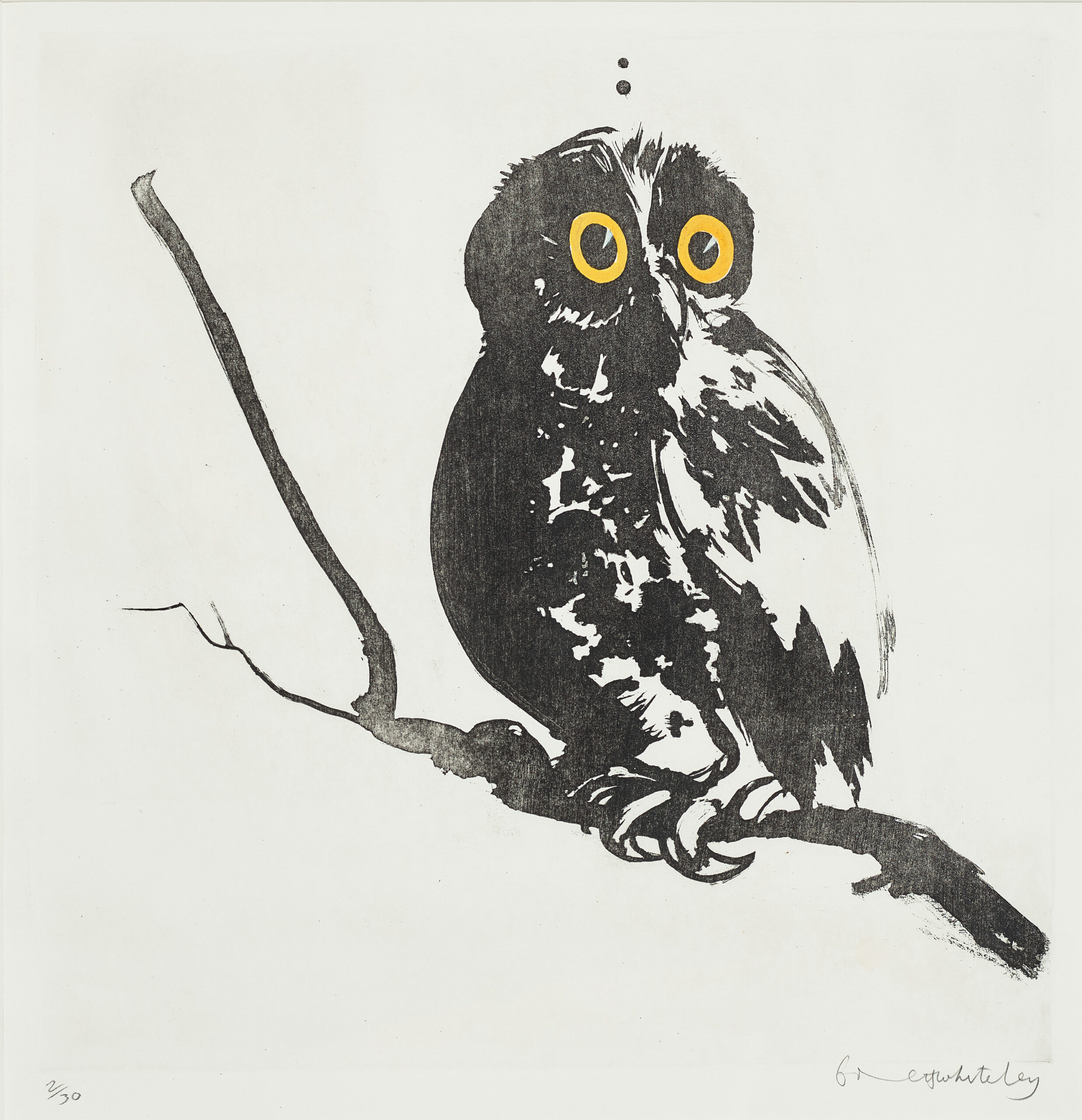 STARTLED (OWL)