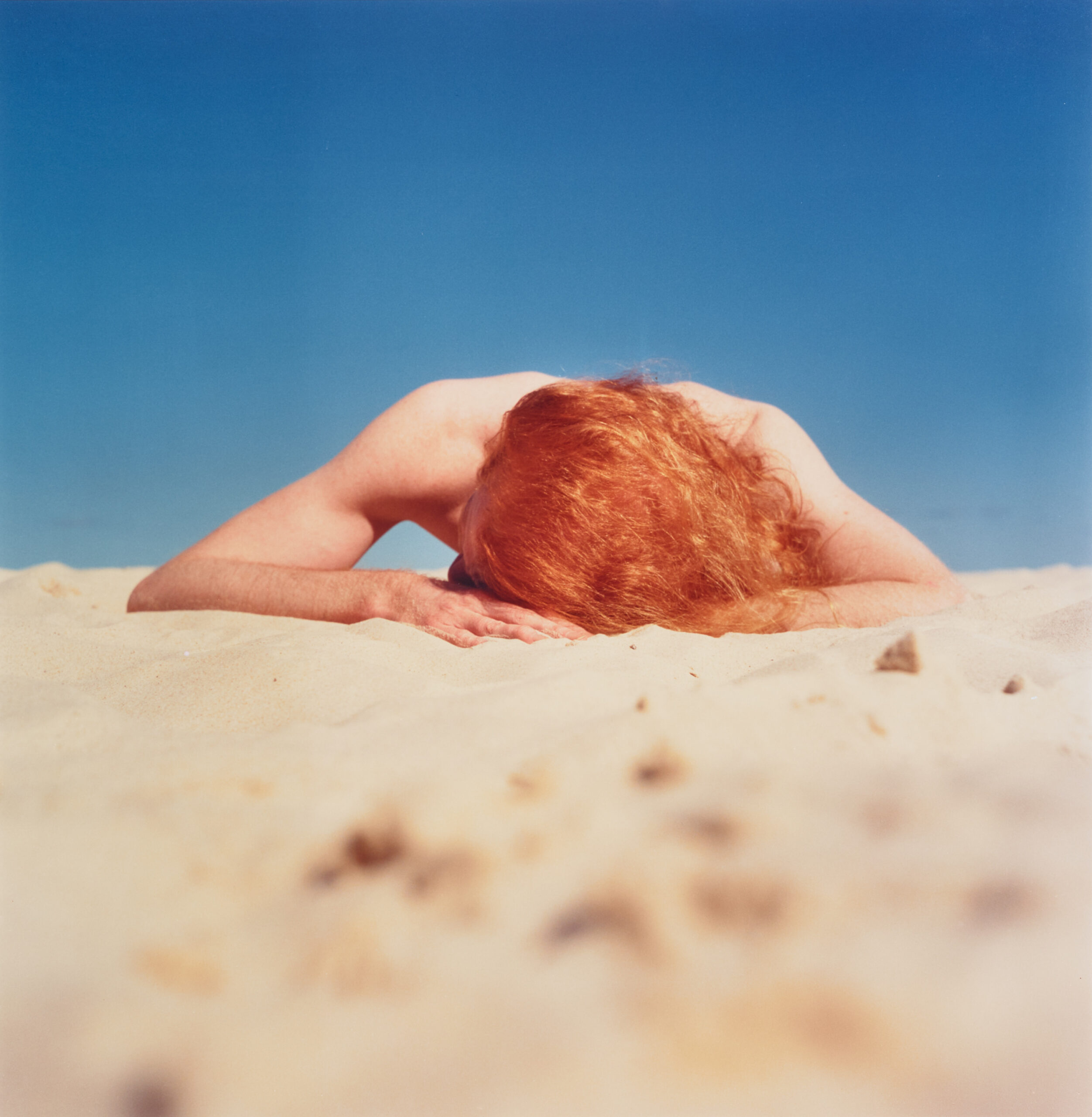 THE SUNBATHER #2