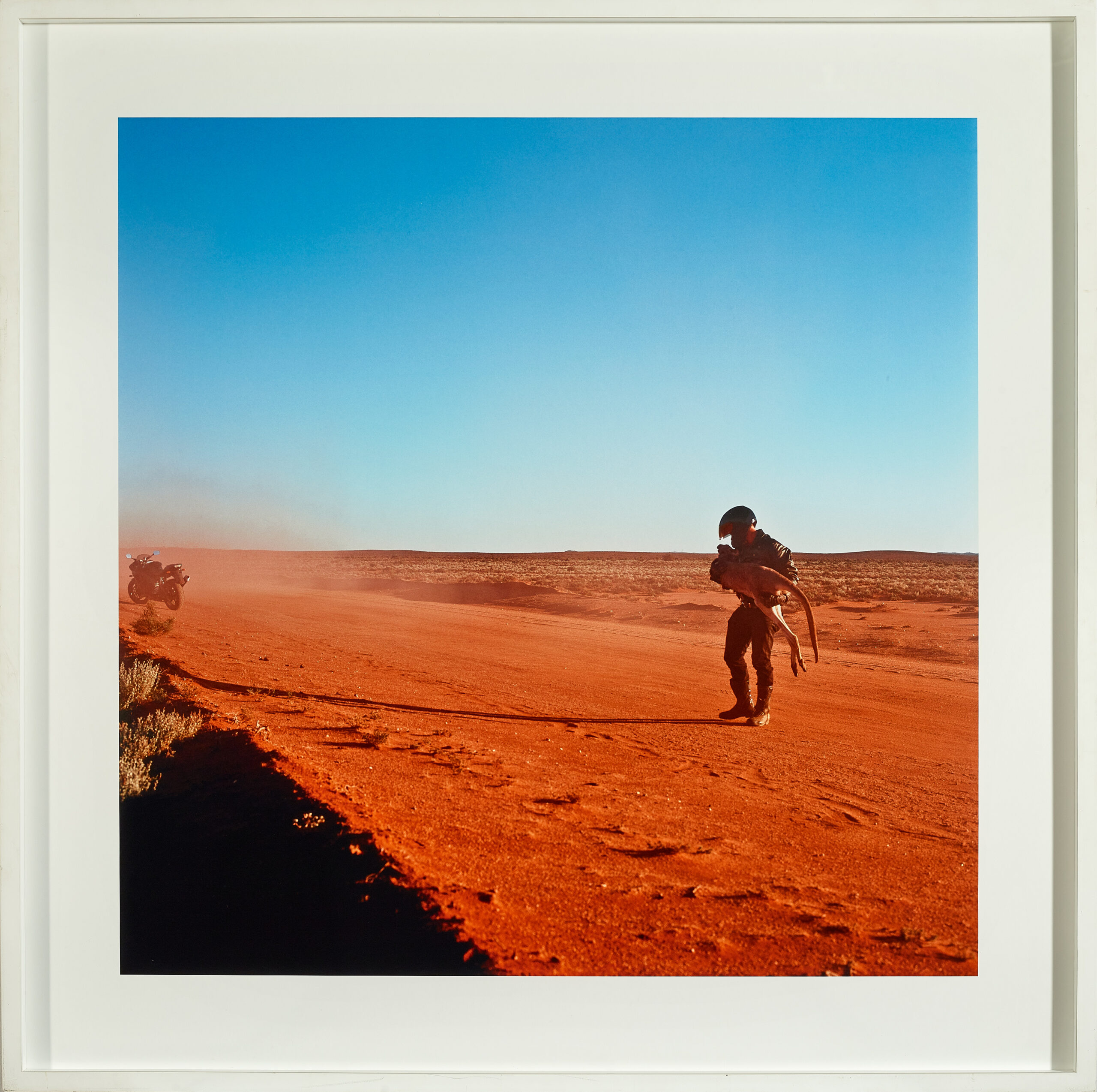 APOLOGY TO ROADKILL: DAYDREAM MINE ROAD