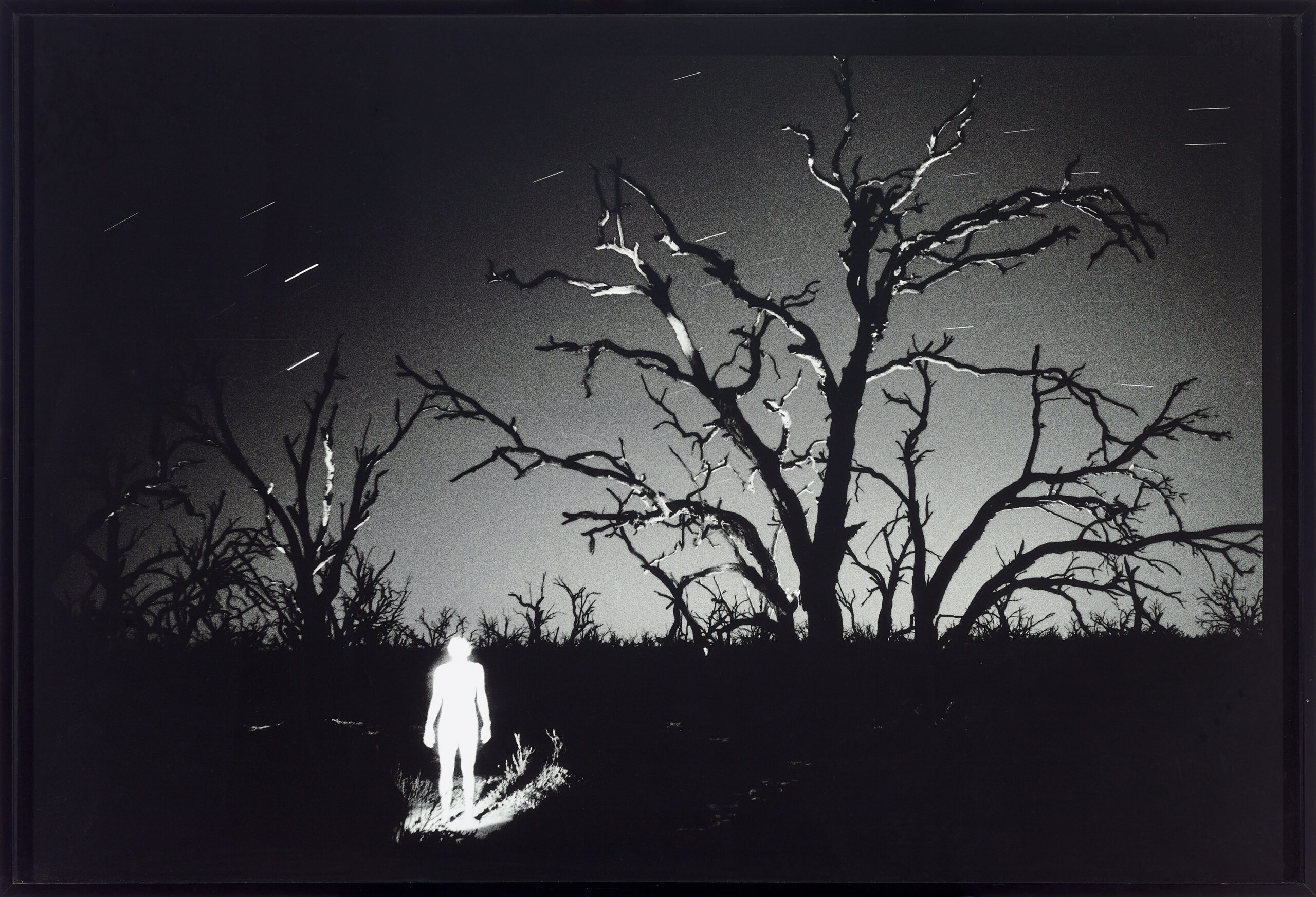 MIDNIGHT SELF PORTRAIT, MENINDEE, OUTBACK NSW
