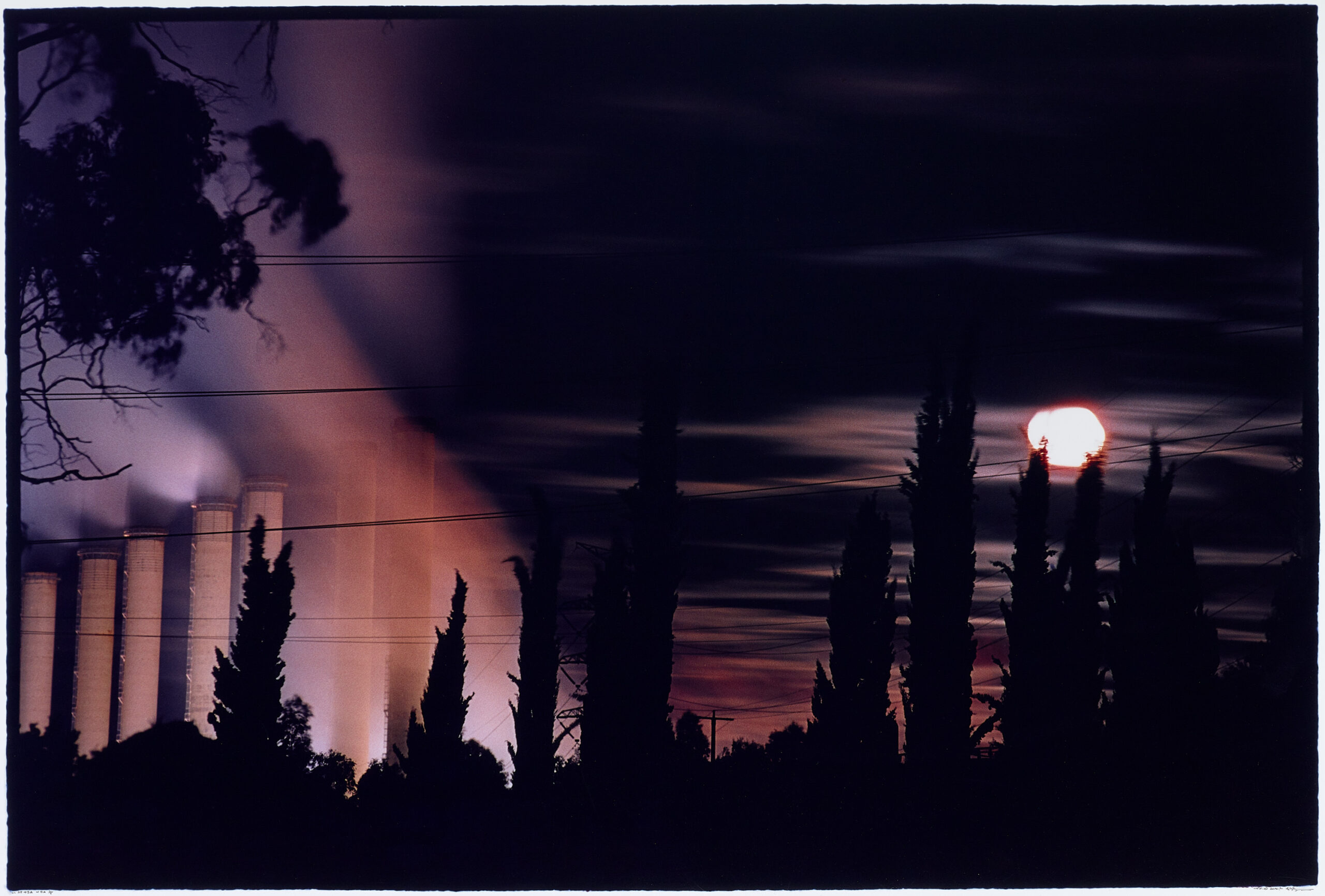 UNTITLED #83