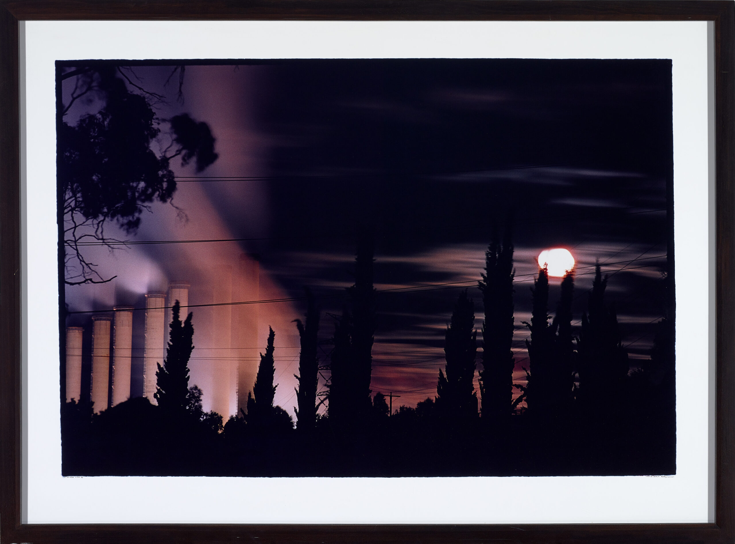 UNTITLED #83