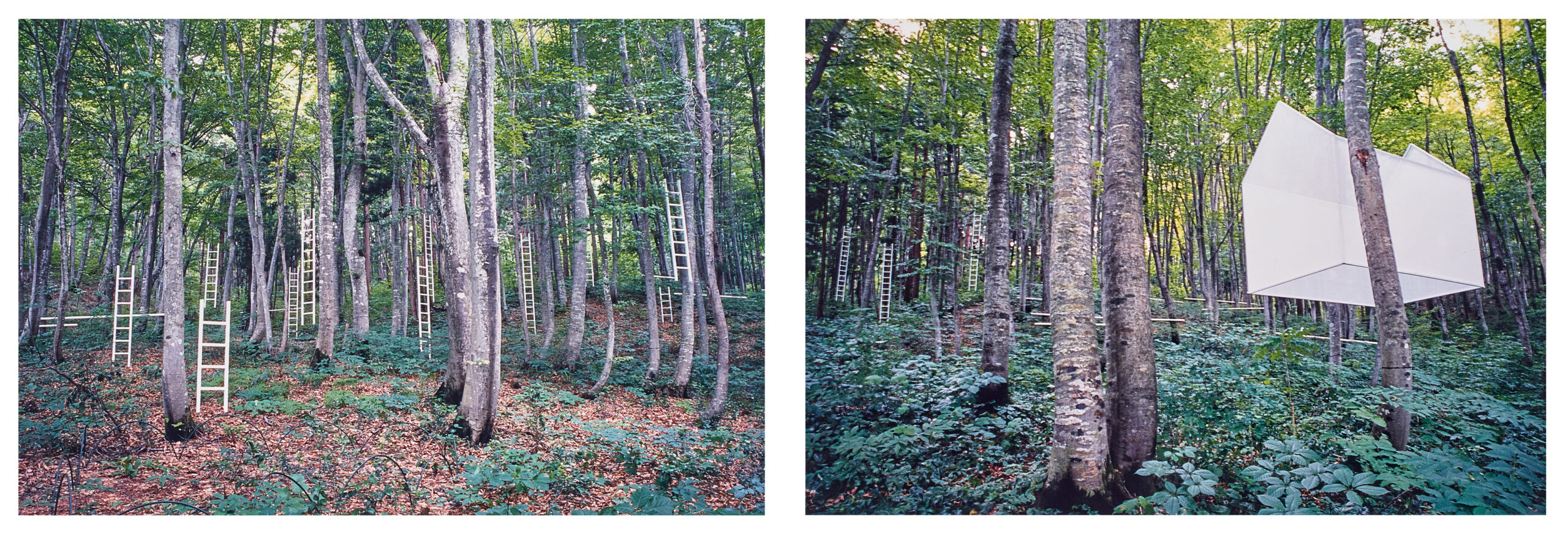 PHOTOGRAPHIC DOCUMENTATION 1 AND 2, IN MEMORY OF SNOW