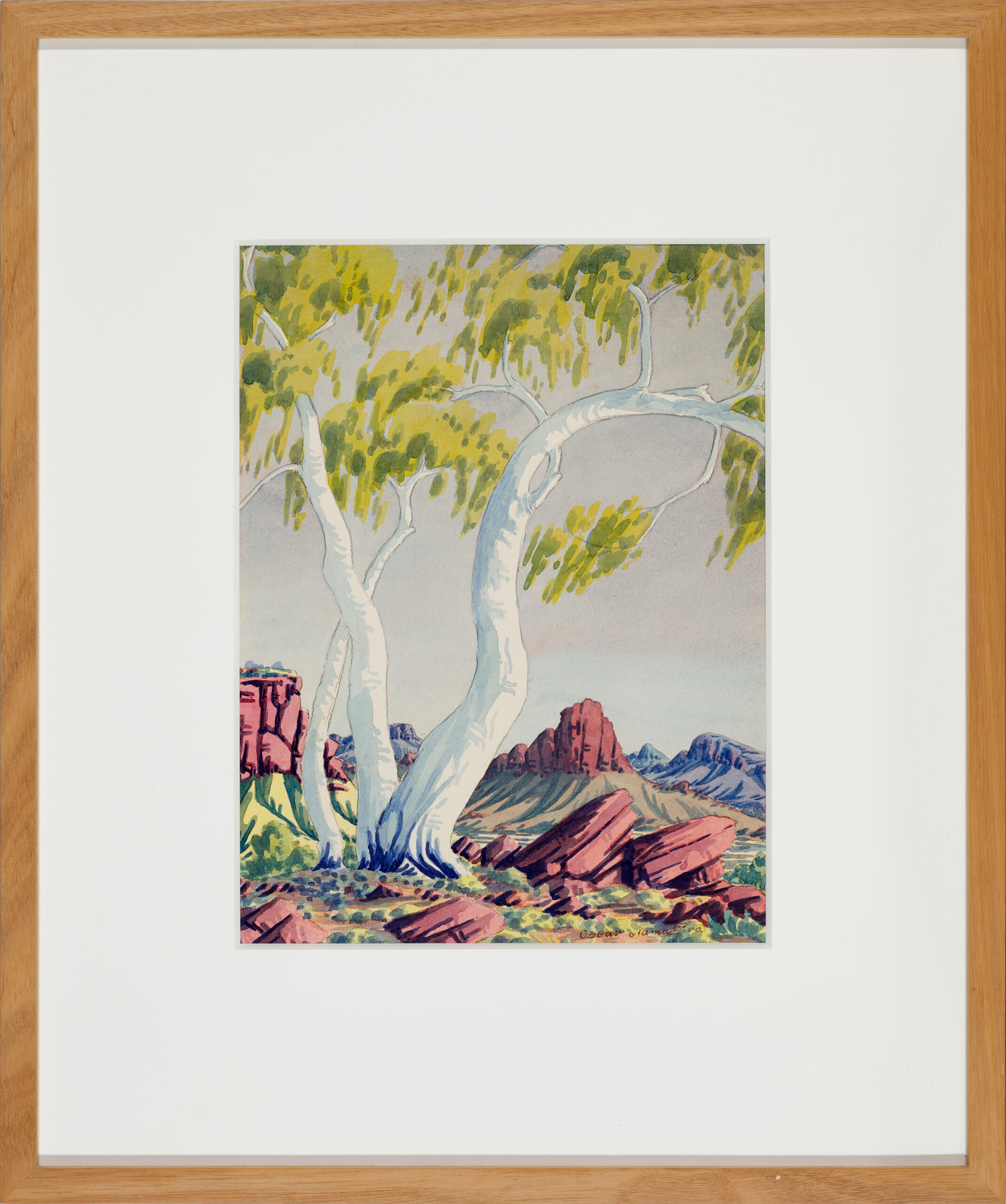 GUM TREE, CENTRAL AUSTRALIAN LANDSCAPE