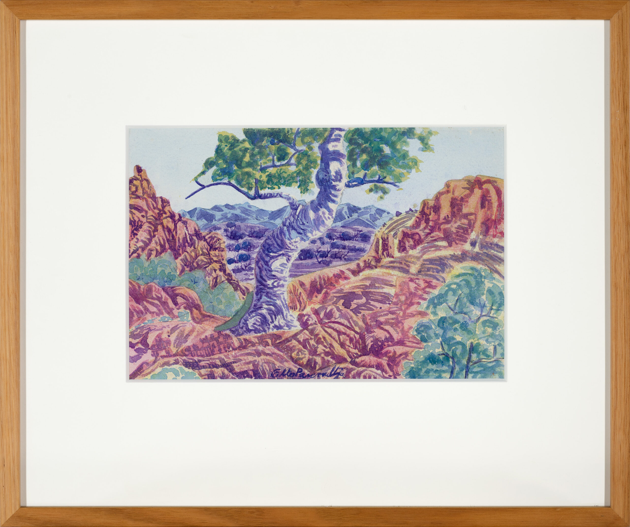 I. CENTRAL AUSTRALIAN LANDSCAPE II. CENTRAL AUSTRALIAN LANDSCAPE