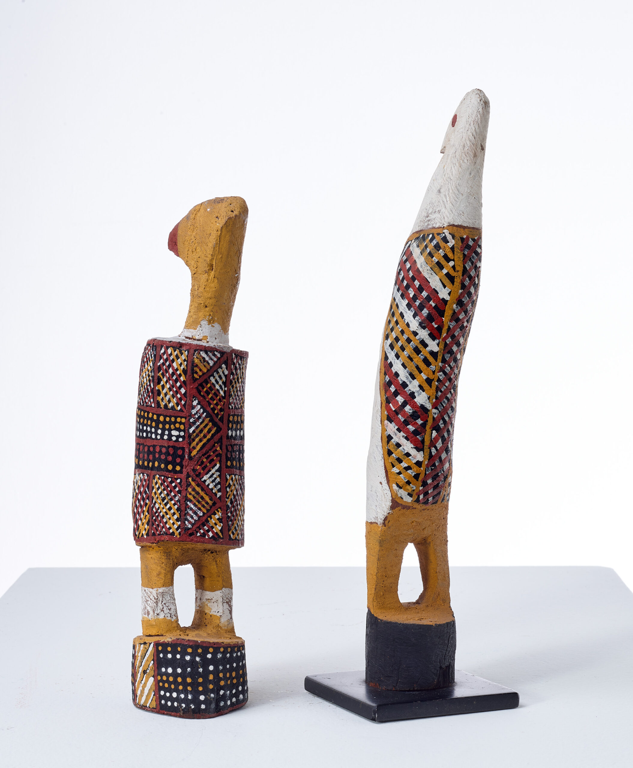A PAIR OF TIWI BIRDS