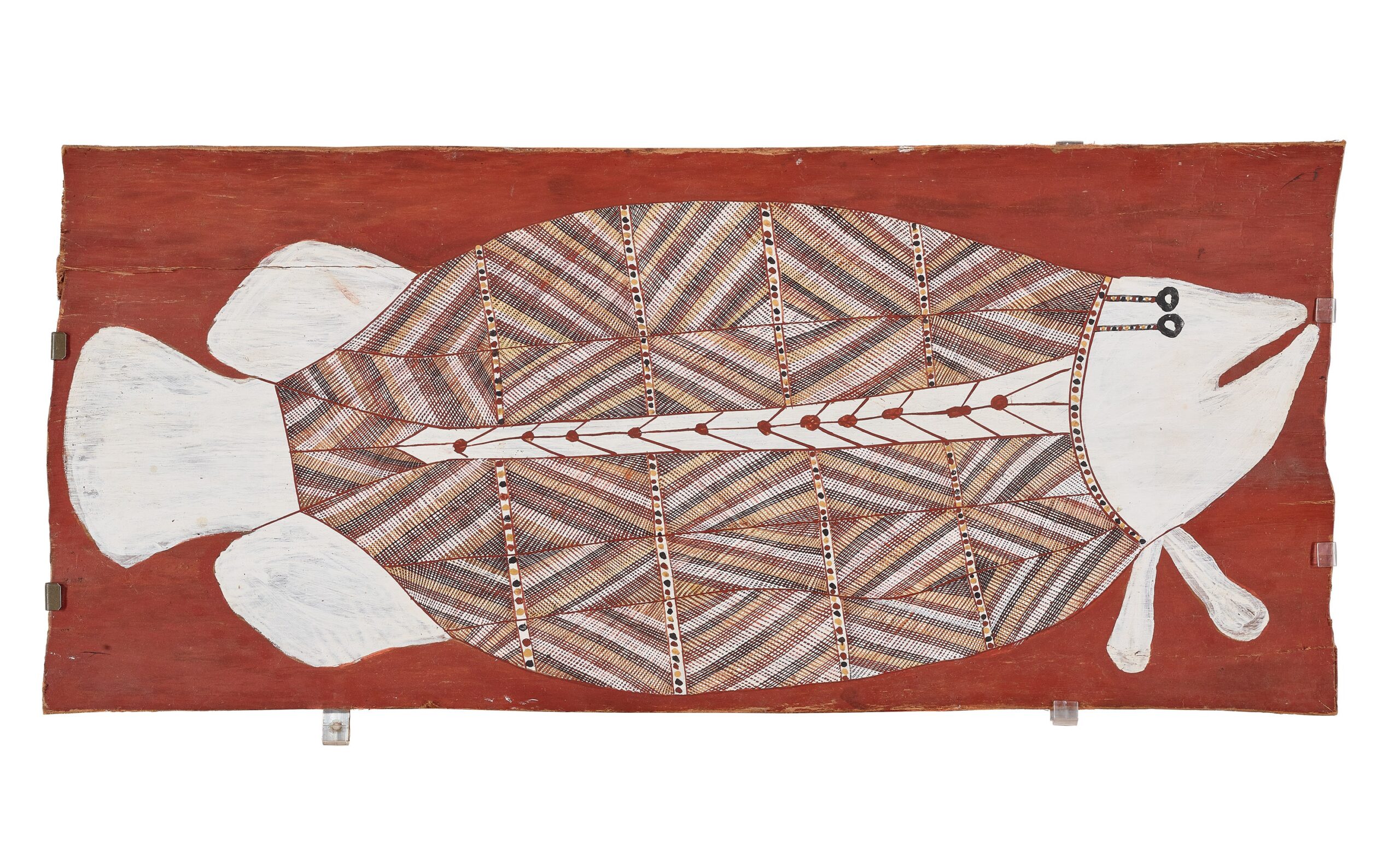 BIRLMU OR NAMARNKORL (BARRAMUNDI)