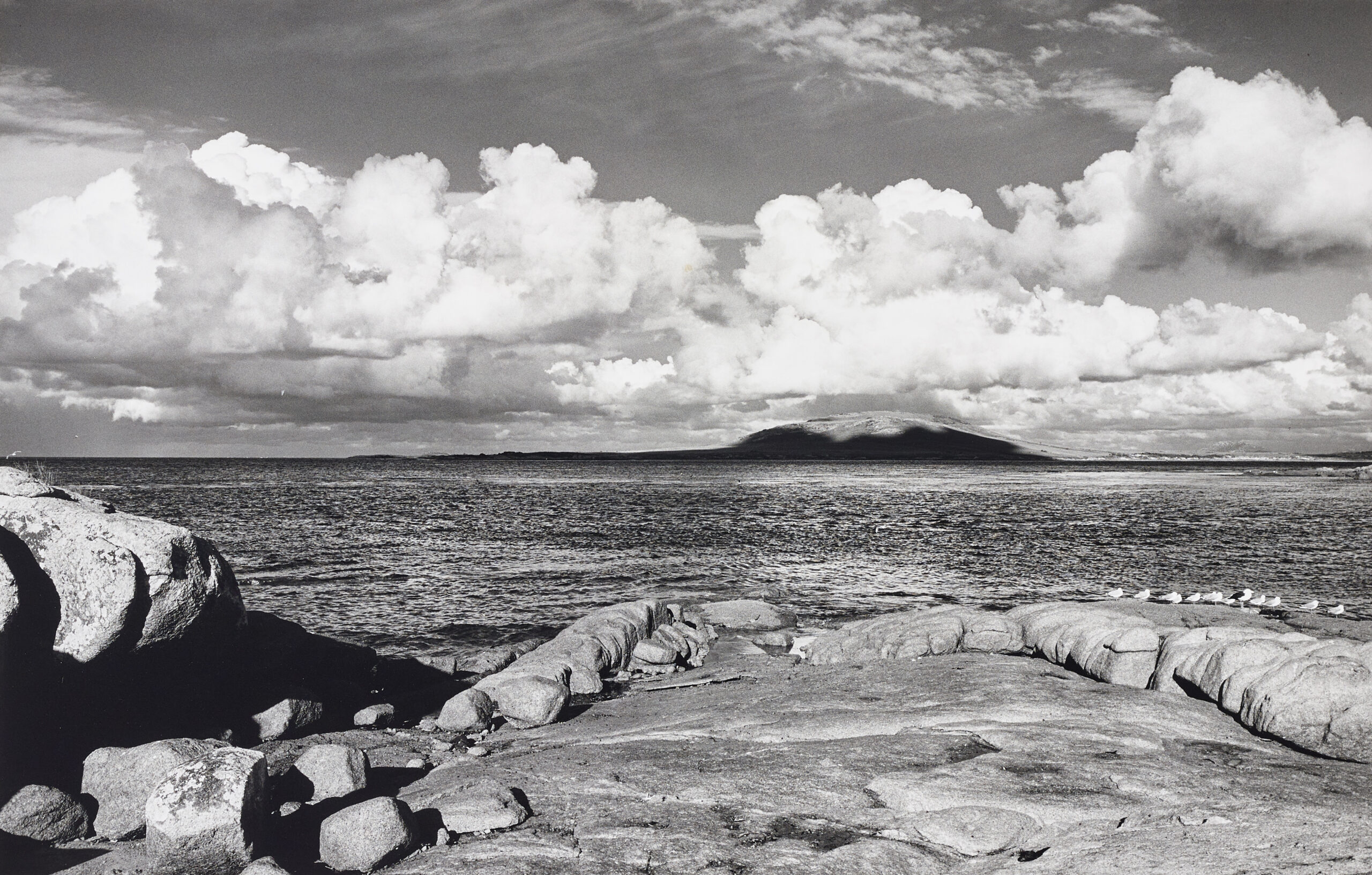 i) VANSITTART ISLAND, BASS STRAIT, TASMANIA; and ii) THE HEALING GARDEN, WYBALENNA, FLINDERS ISLAND, TASMANIA