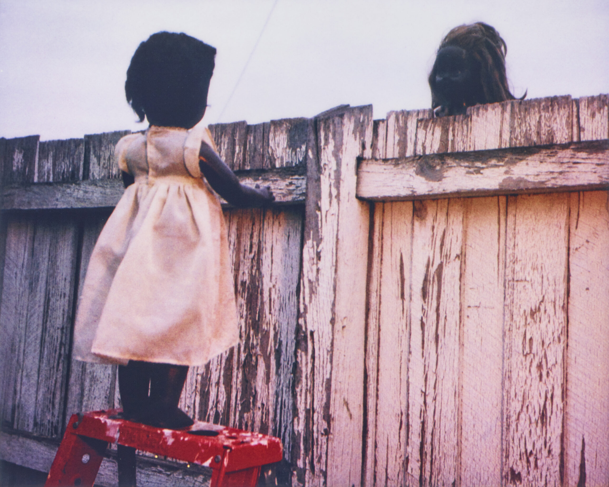 OVER THE FENCE