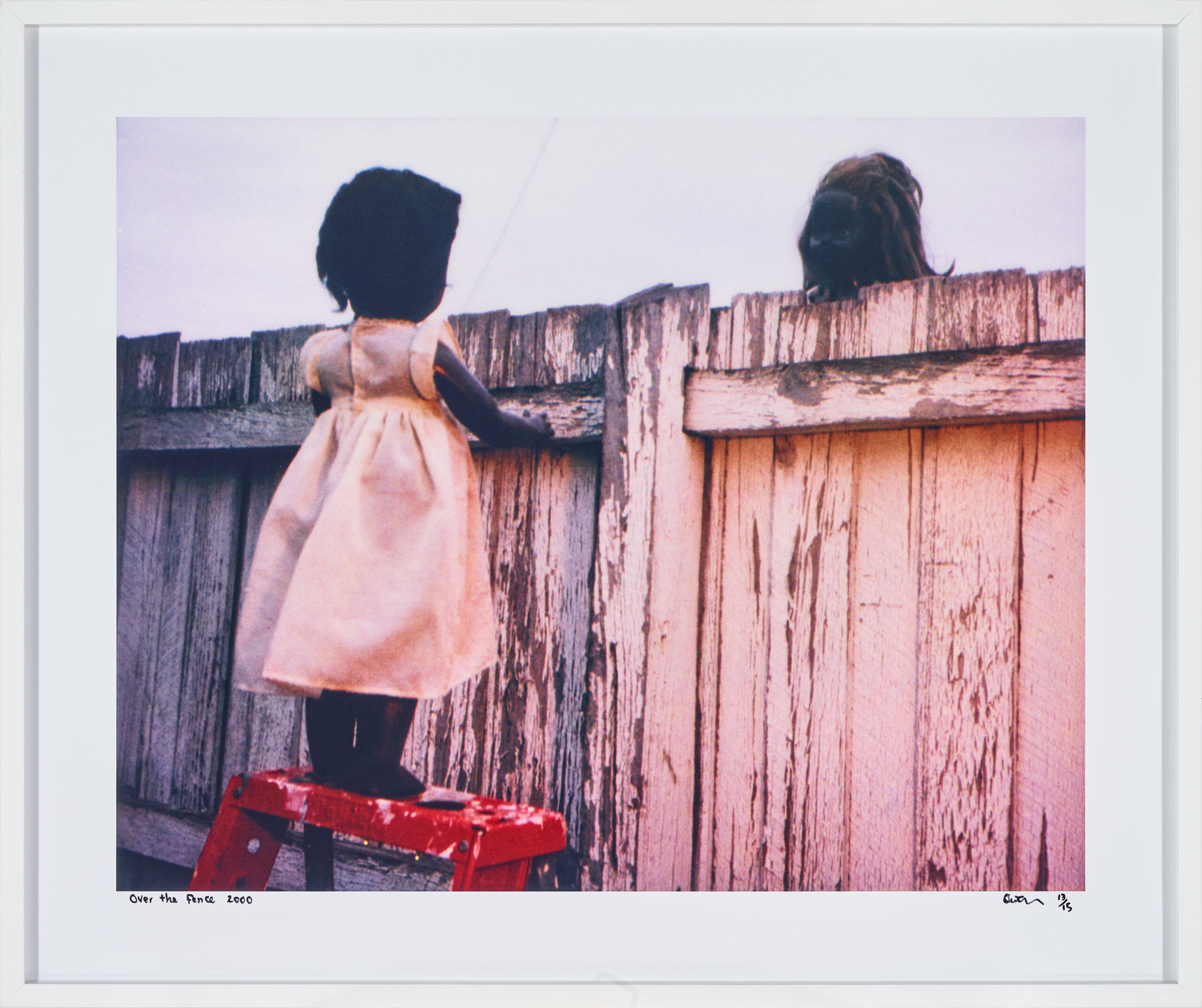 OVER THE FENCE