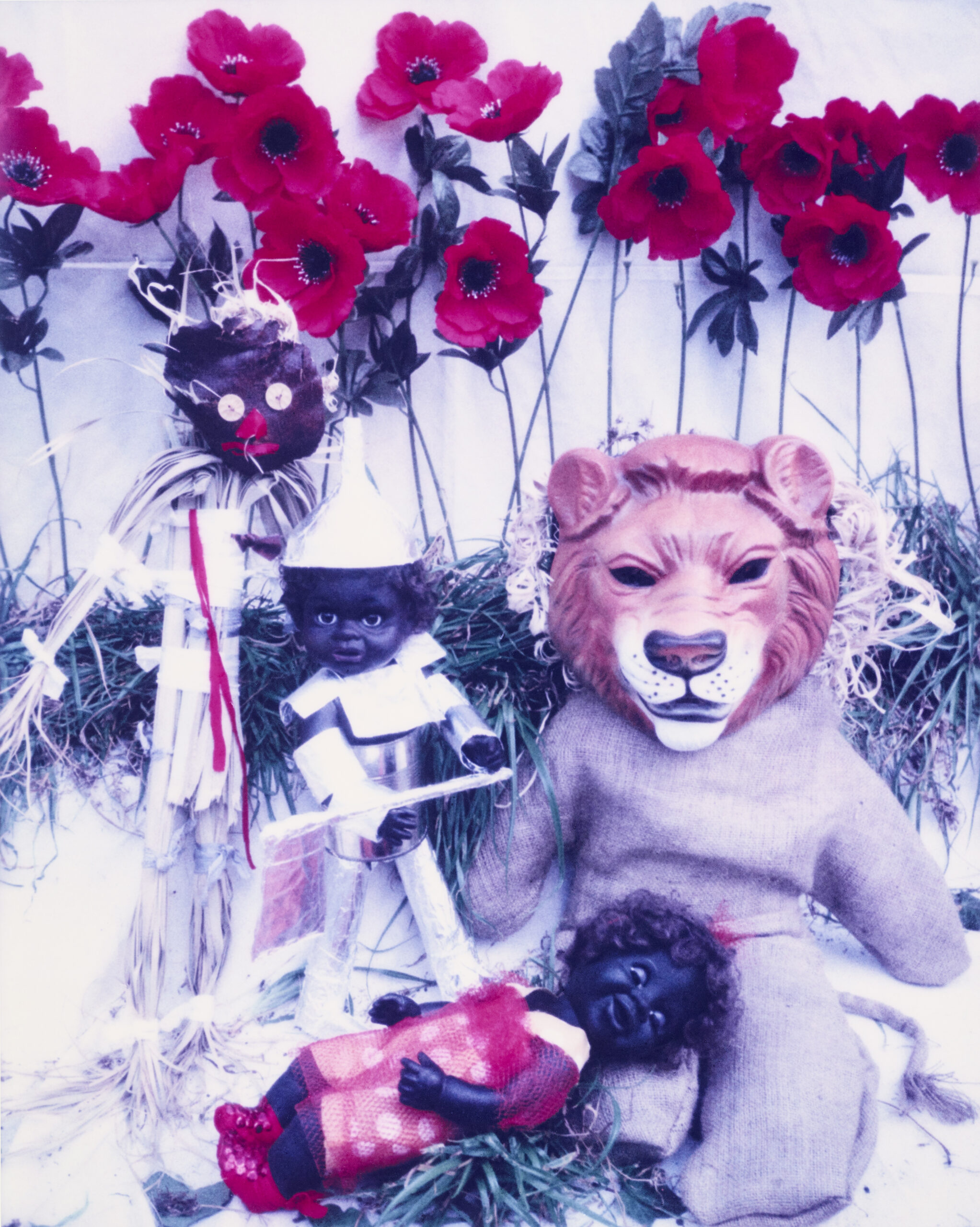 OZ GAMES – UNDER THE SPELL OF THE TALL POPPIES