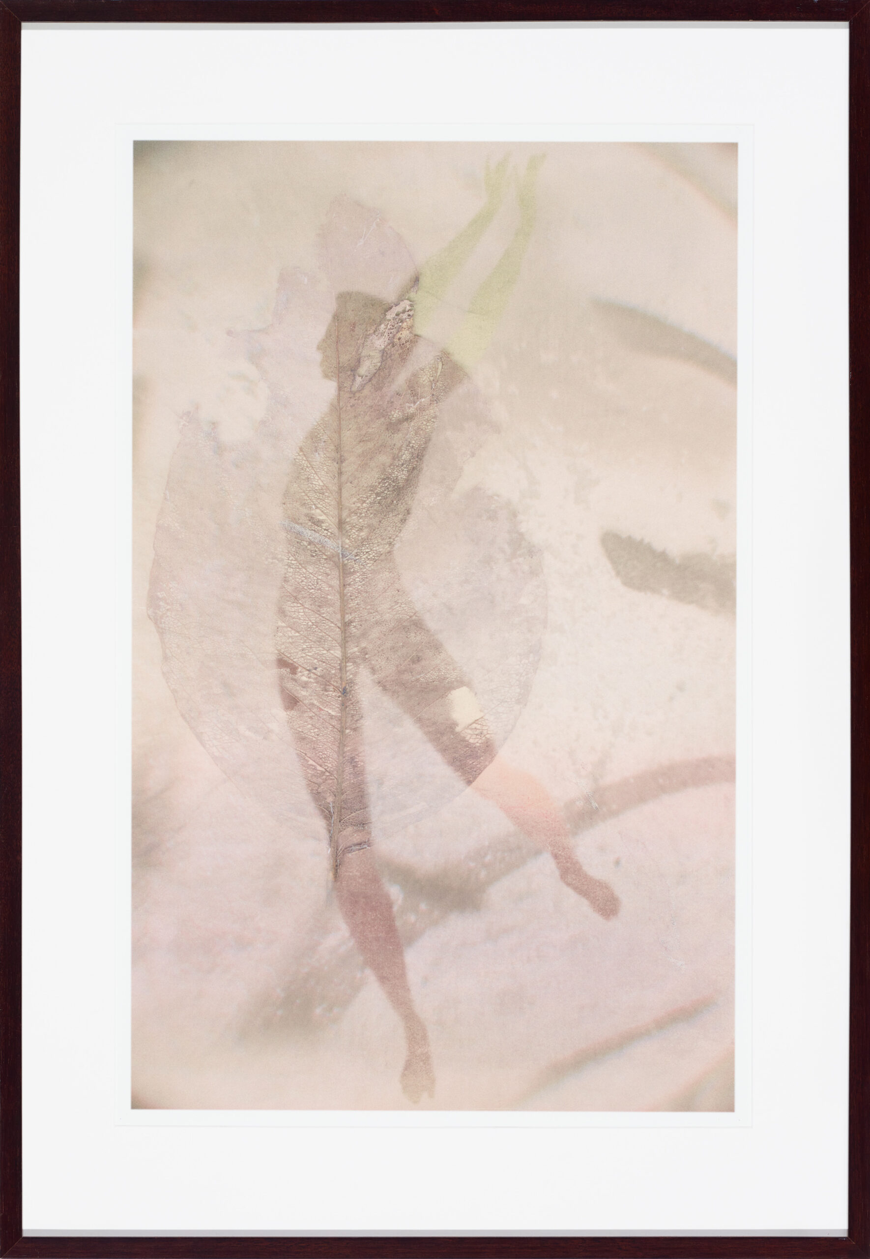 VEIN AND VEIL