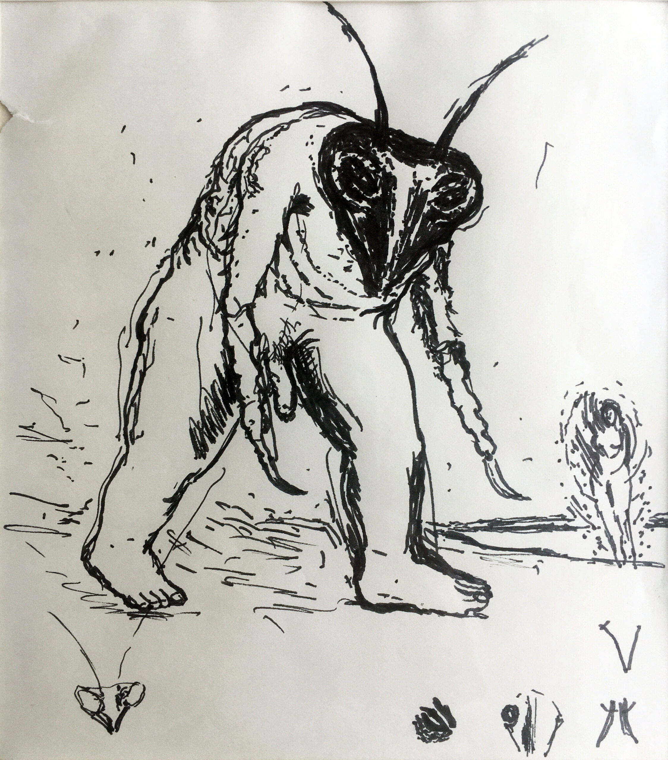 INSECT MONSTER