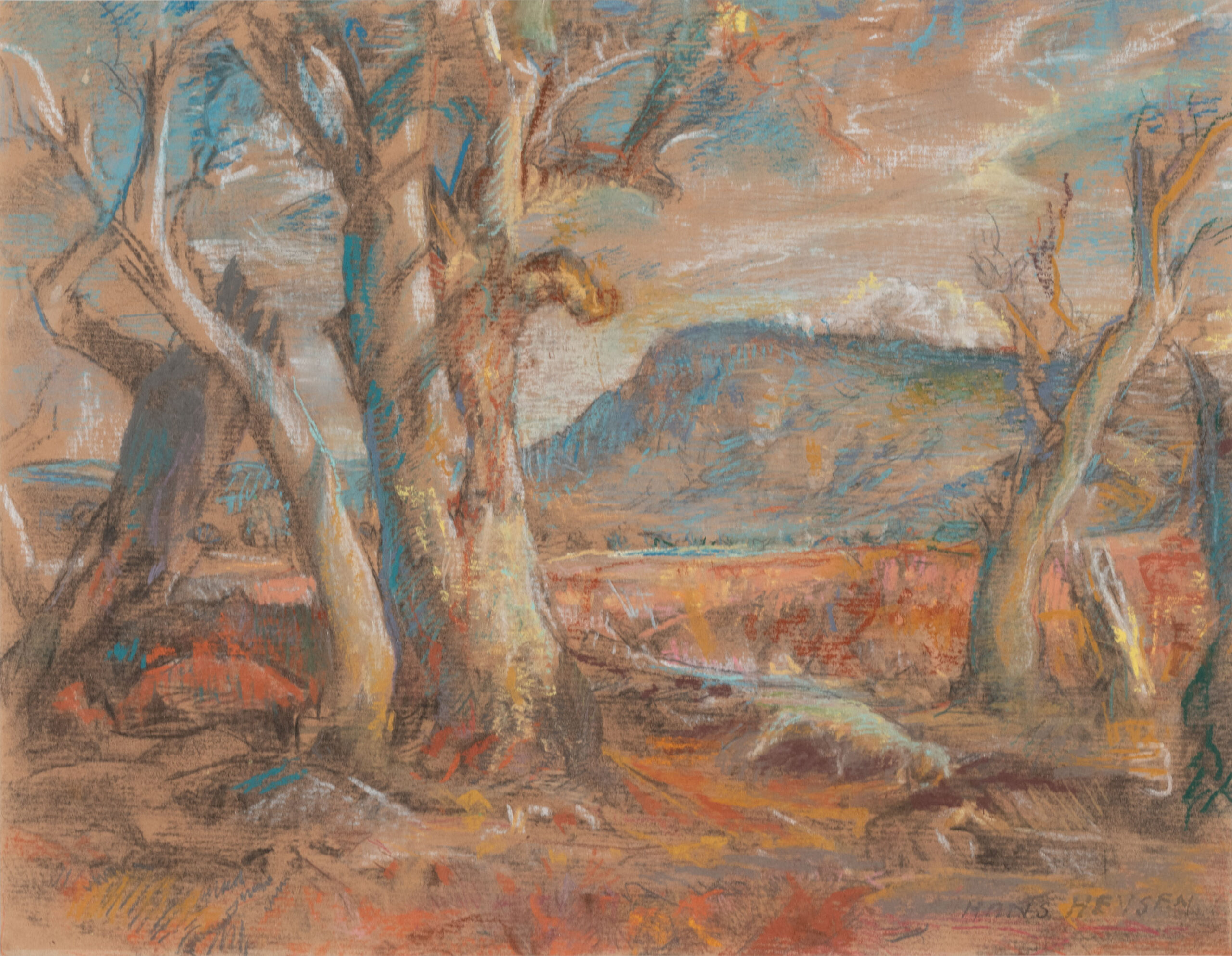 FLINDERS RANGES LANDSCAPE WITH GUMS