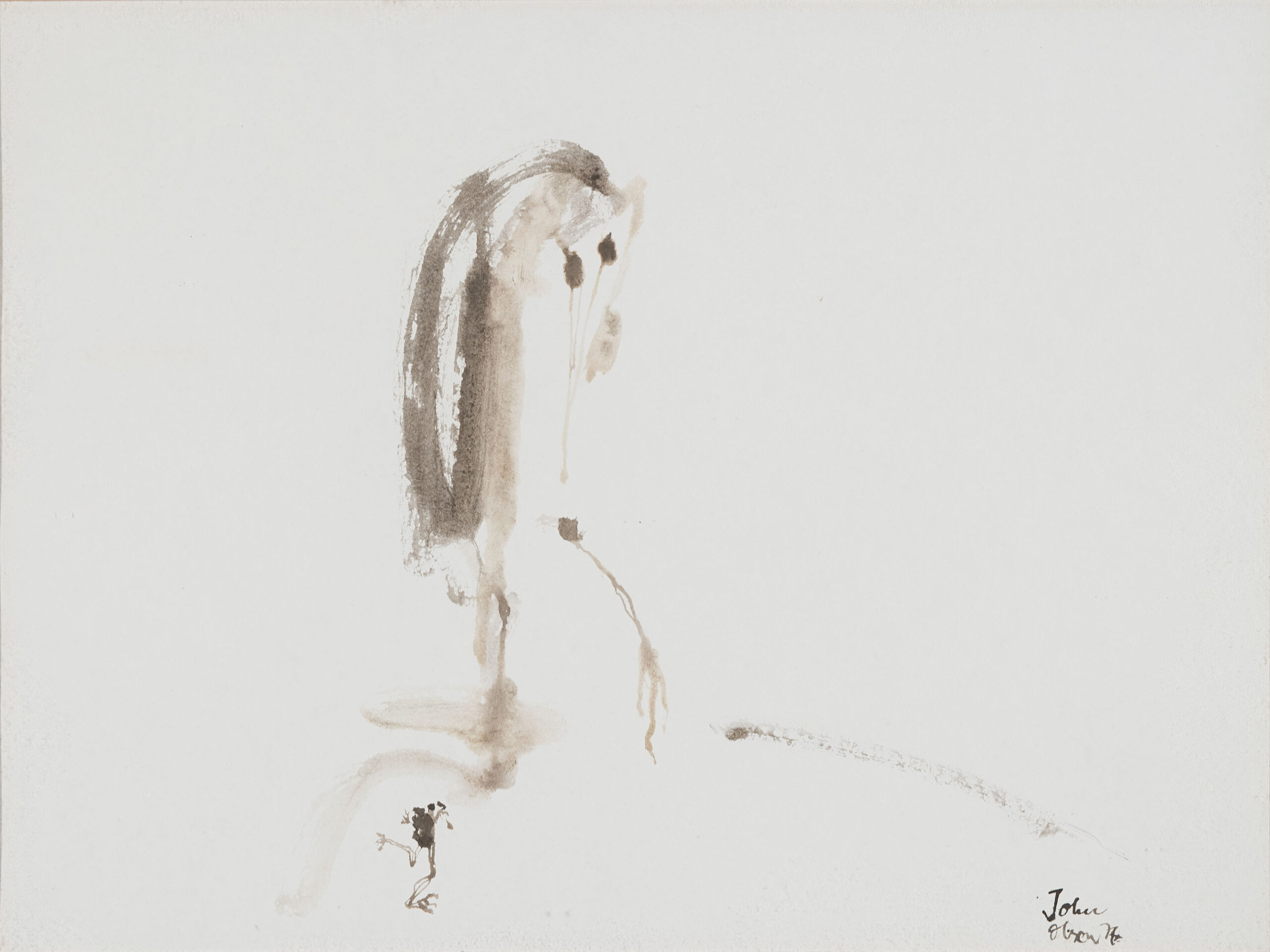 BIRD AND FROG