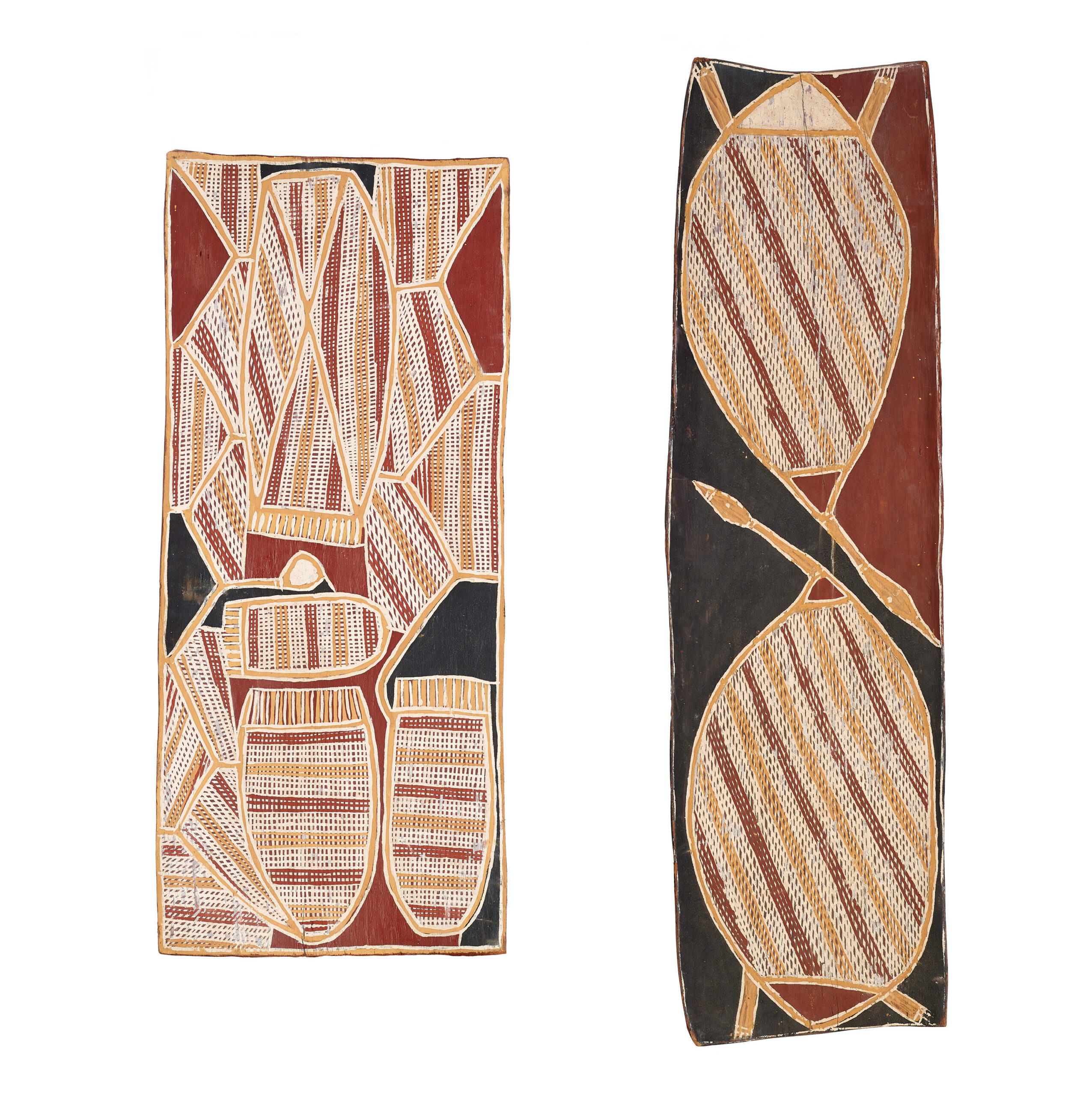 TWO EUCALYPTUS BARKS