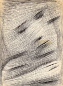 METAMORPHOSIS OF A FACE II