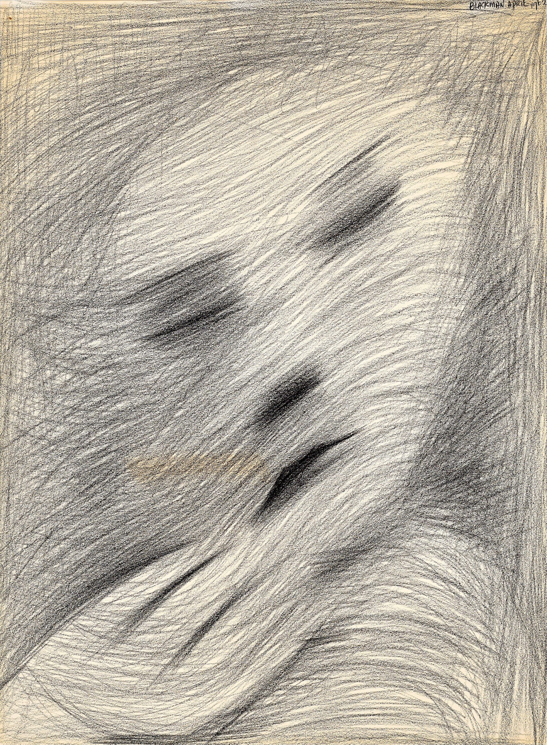 METAMORPHOSIS OF A FACE I