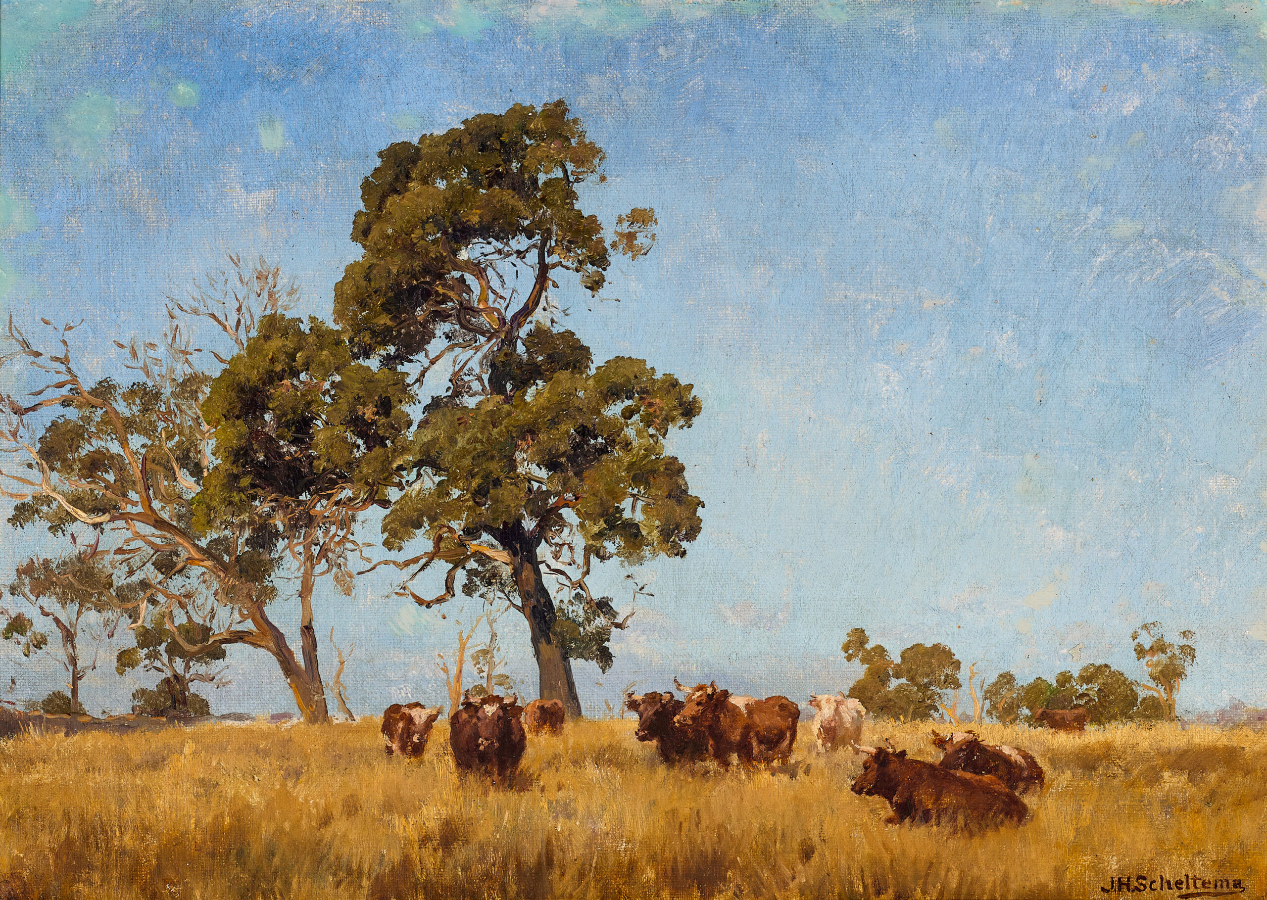 CATTLE GRAZING