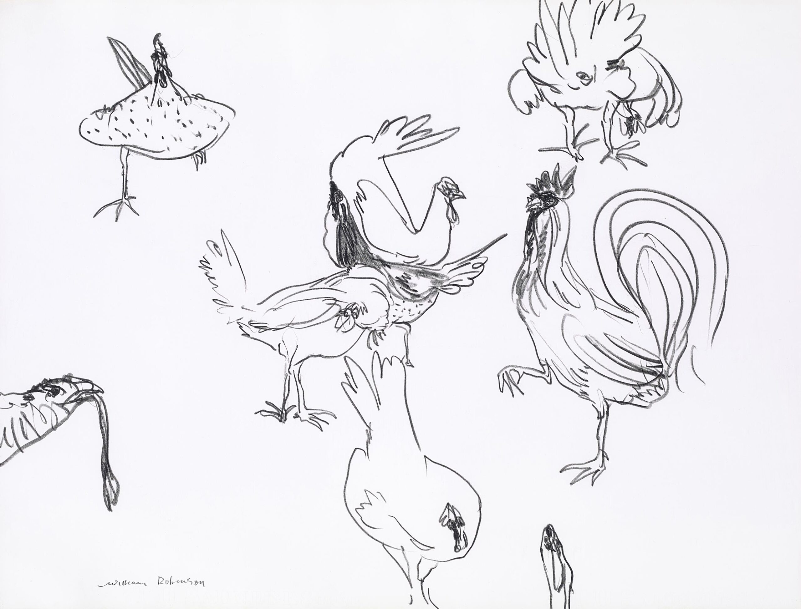 CHOOKS