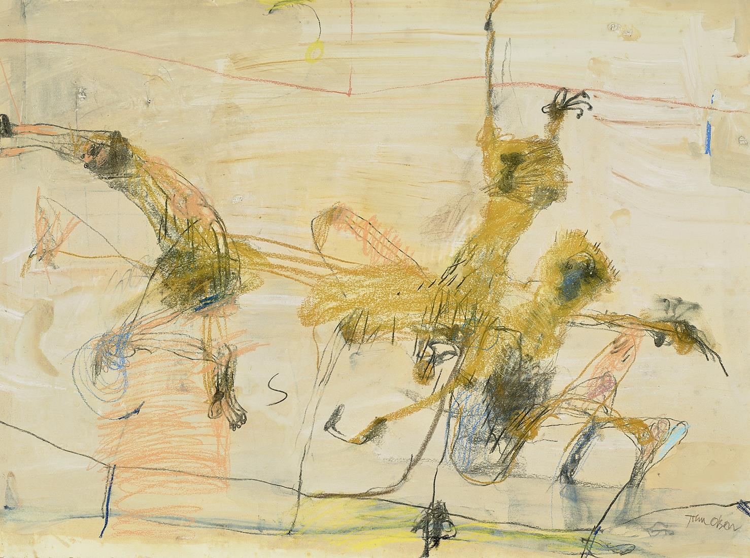SPIDER MONKEYS II