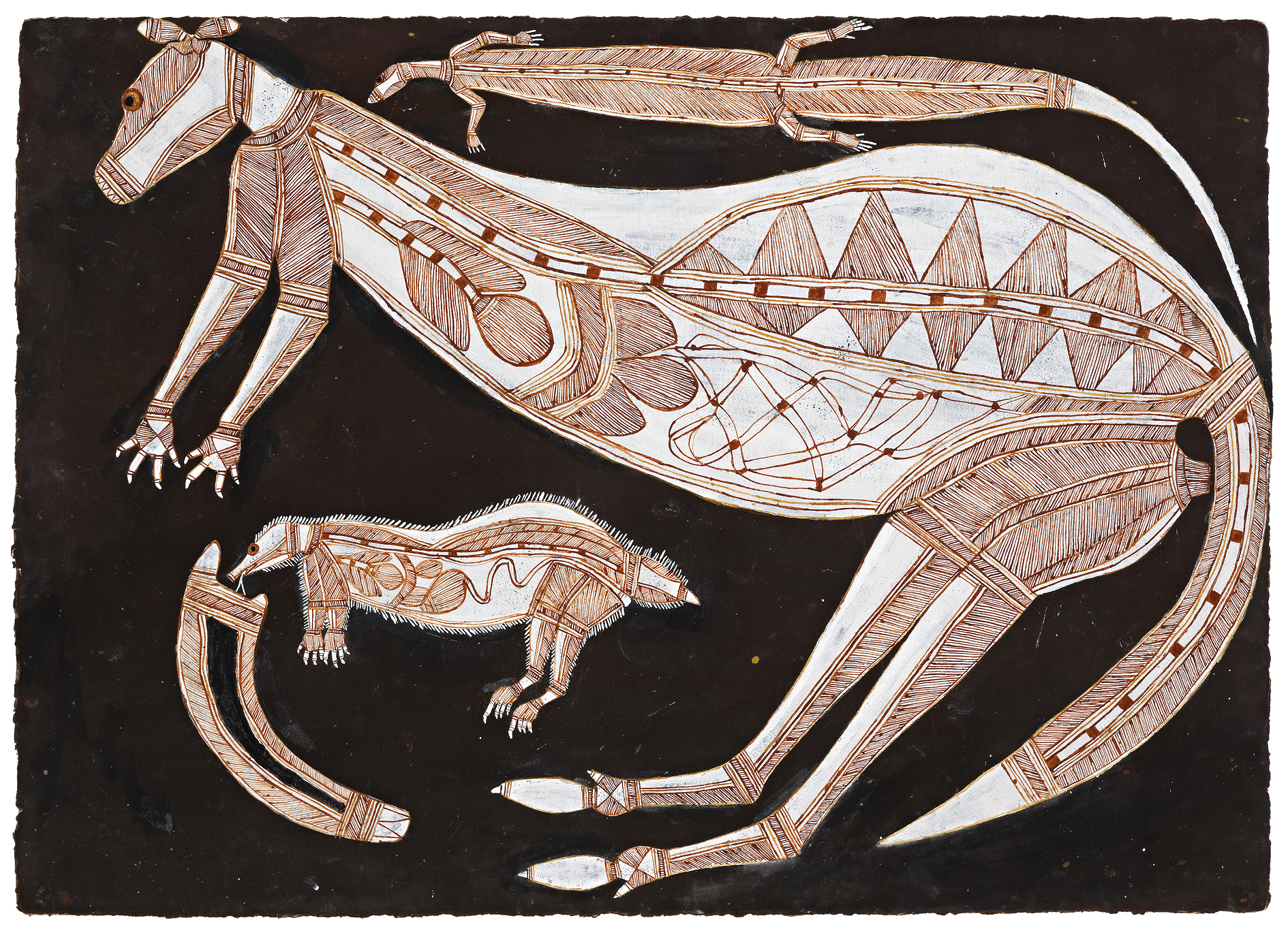 DJEKERRE – FEMALE BLACK ROCK WALLABY / NGARRBEK – ECHIDNA,