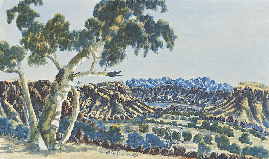 CENTRAL AUSTRALIAN LANDSCAPE