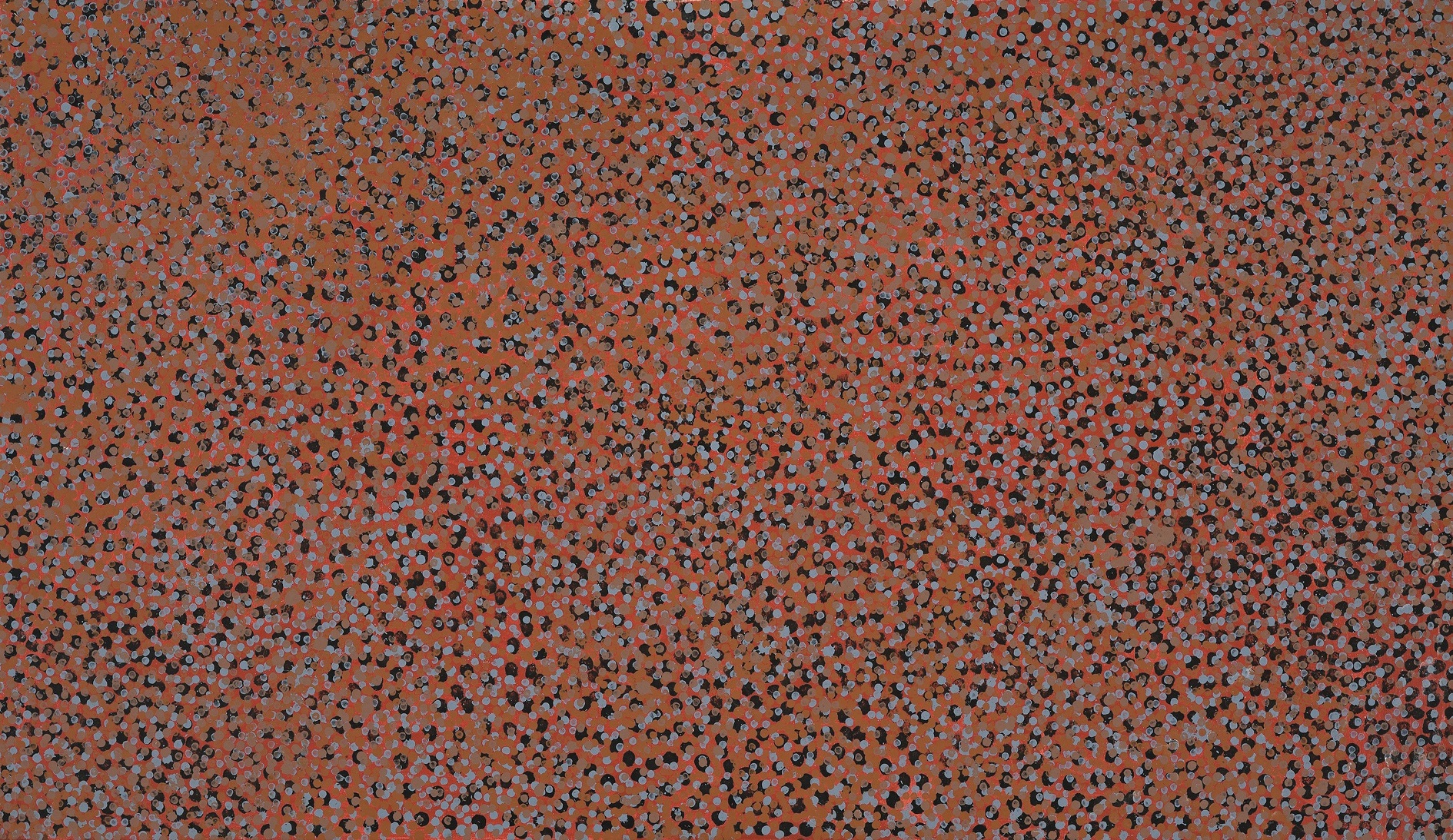 MERNE NDORKWA (WILD PLUM)