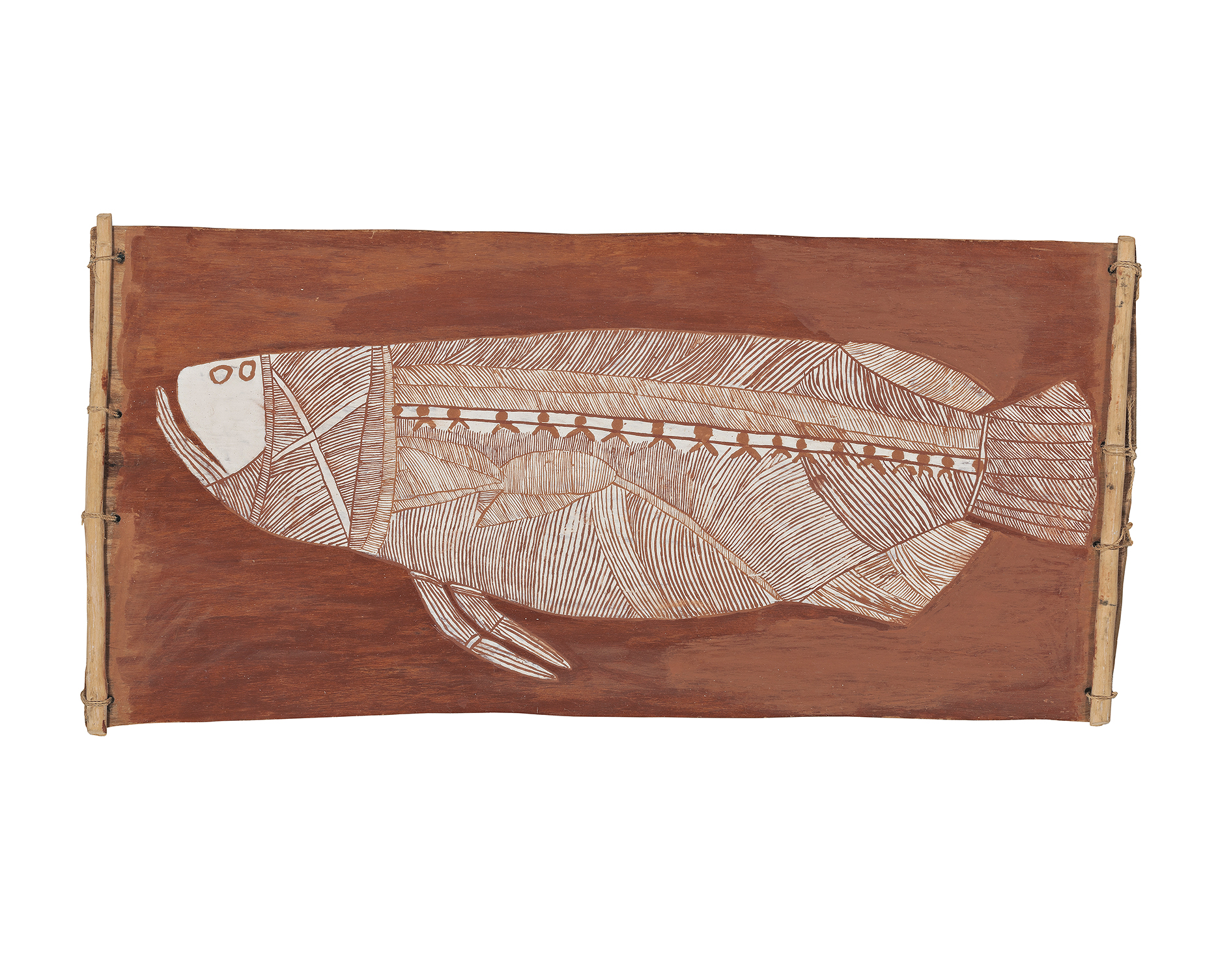 BARRAMUNDI