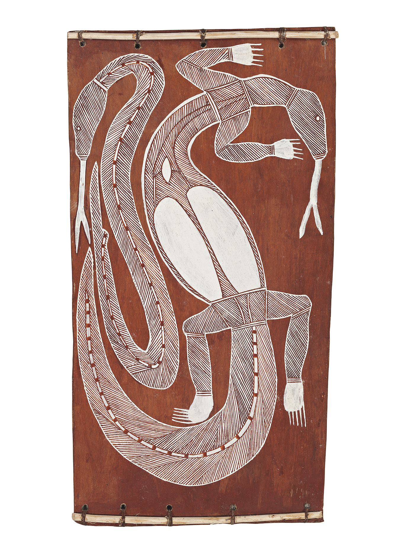 GOANNA AND FILE SNAKE