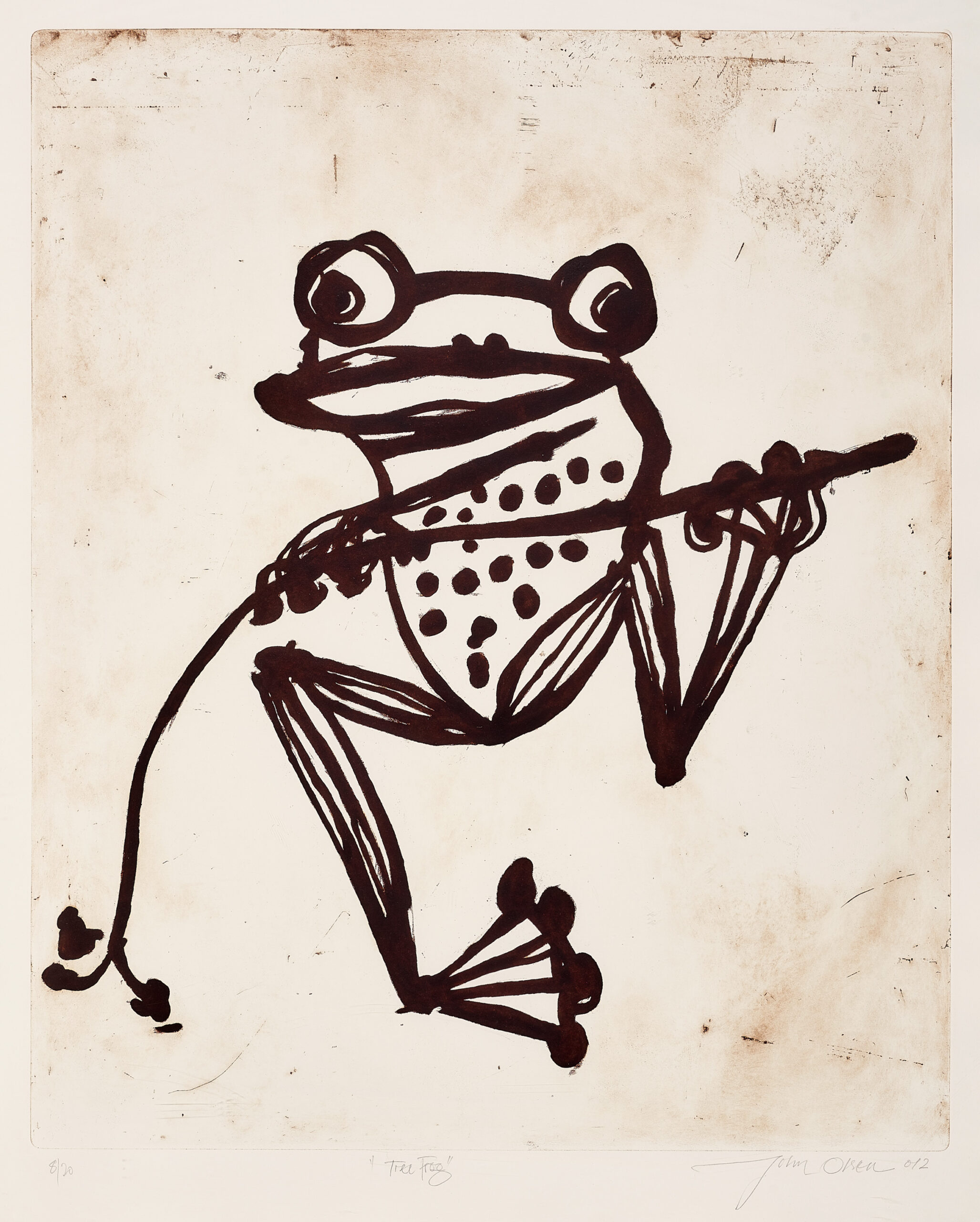 Tree frog