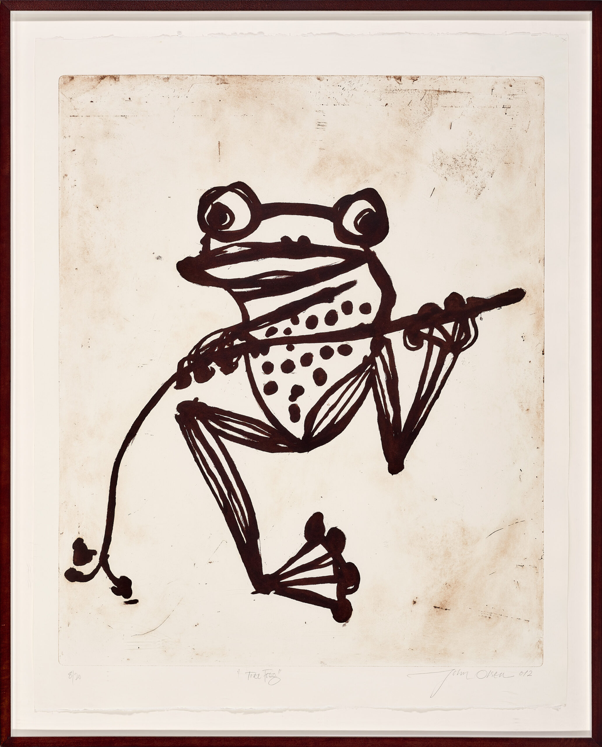 Tree frog