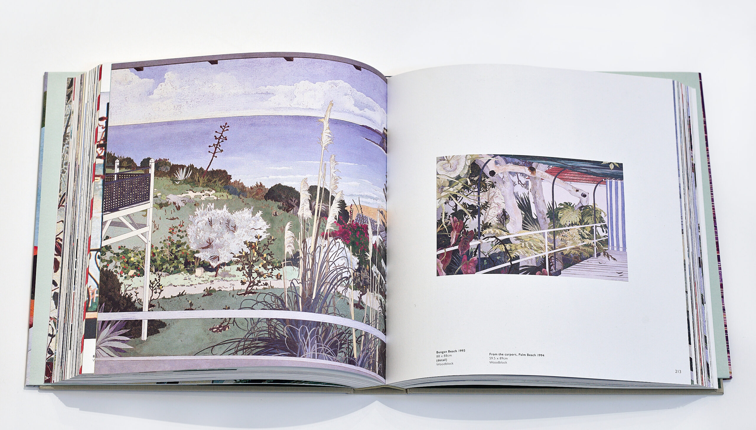The Woodblock Painting of Cressida Campbell