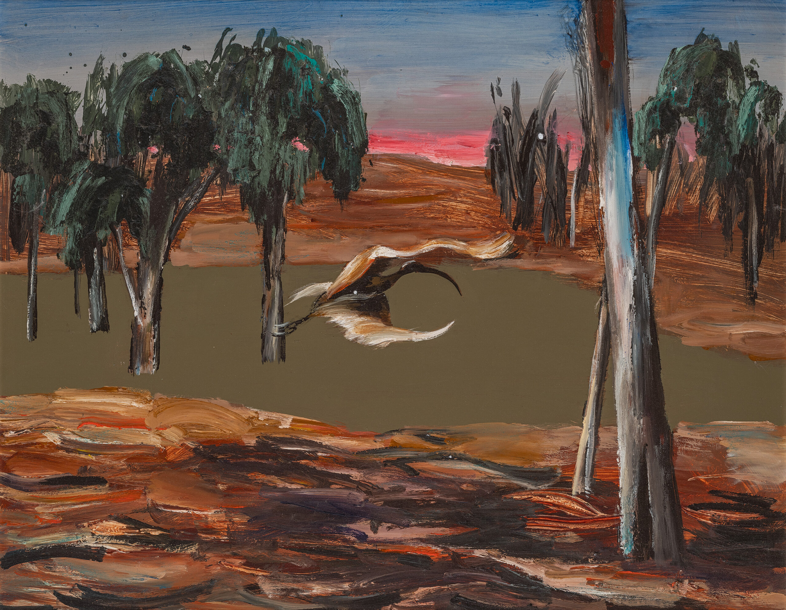 IBIS OVER WATERHOLE
