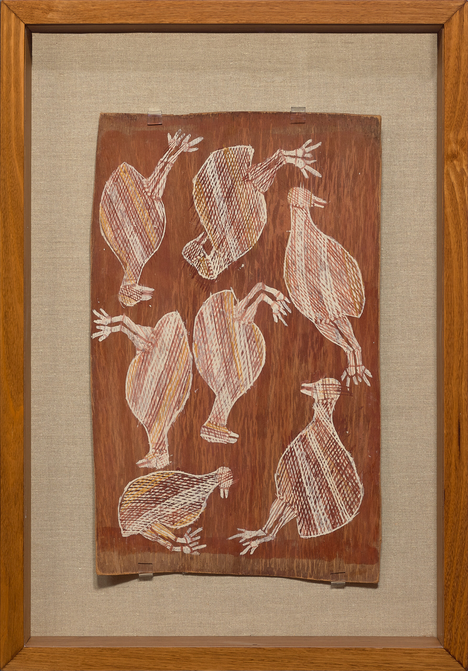 DABBARR (PARTRIDGE PIGEONS) [1994.13]