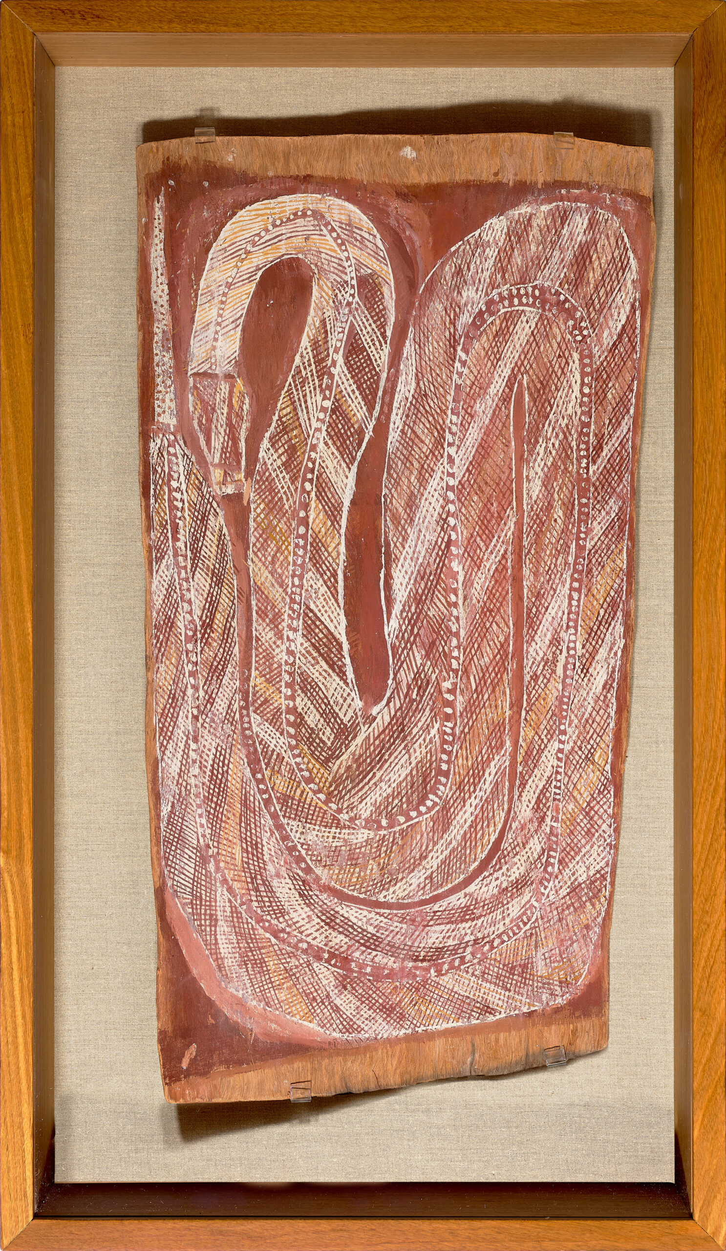 NAWARAN (THE OENPELLI PYTHON- PYTHON OENPELLIENSIS) [1994.07]