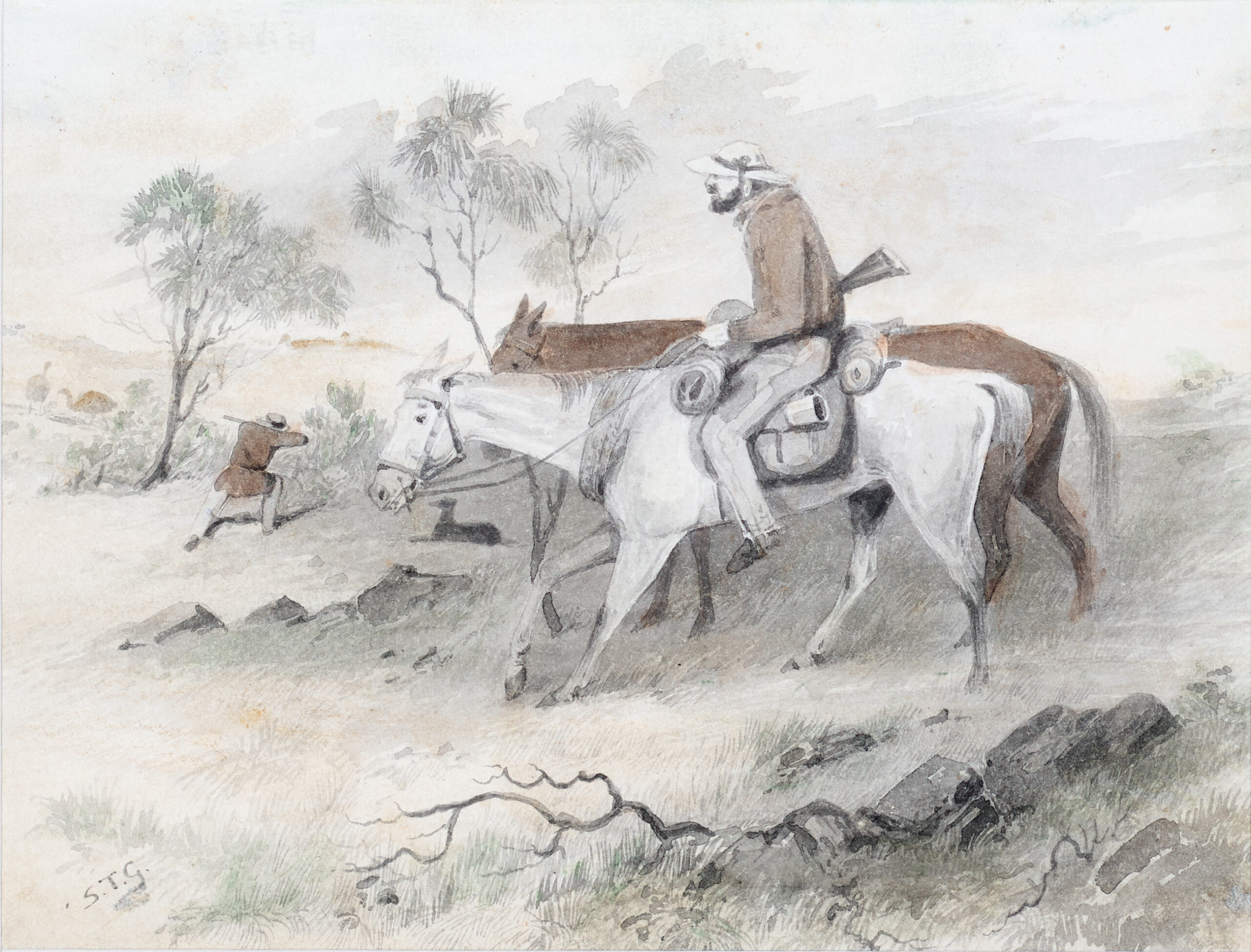 EMU HUNTING