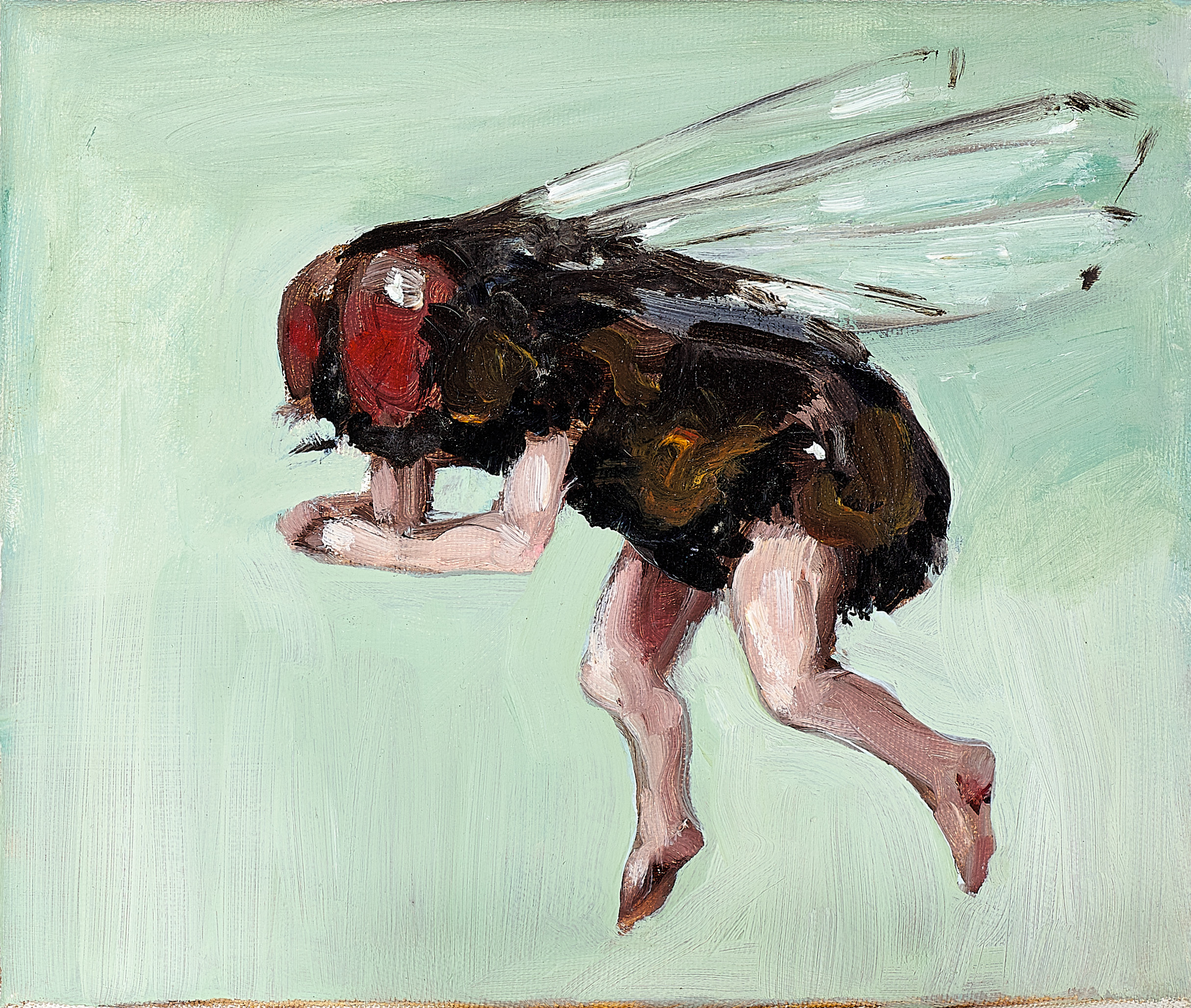 UNTITLED (ANTS), UNTITLED (FLY) AND UNTITLED (FROG)