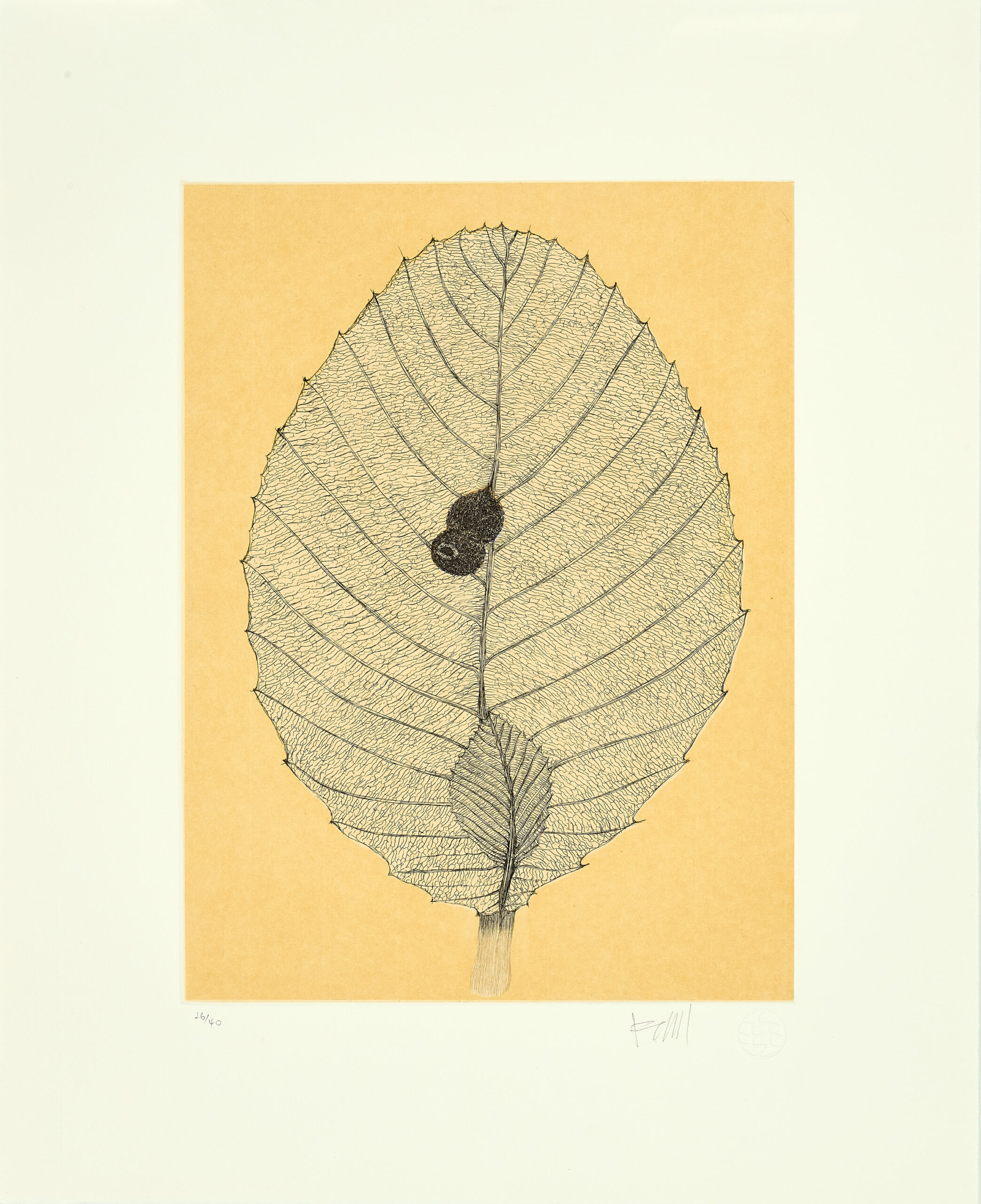 SUITE OF FIVE ETCHINGS