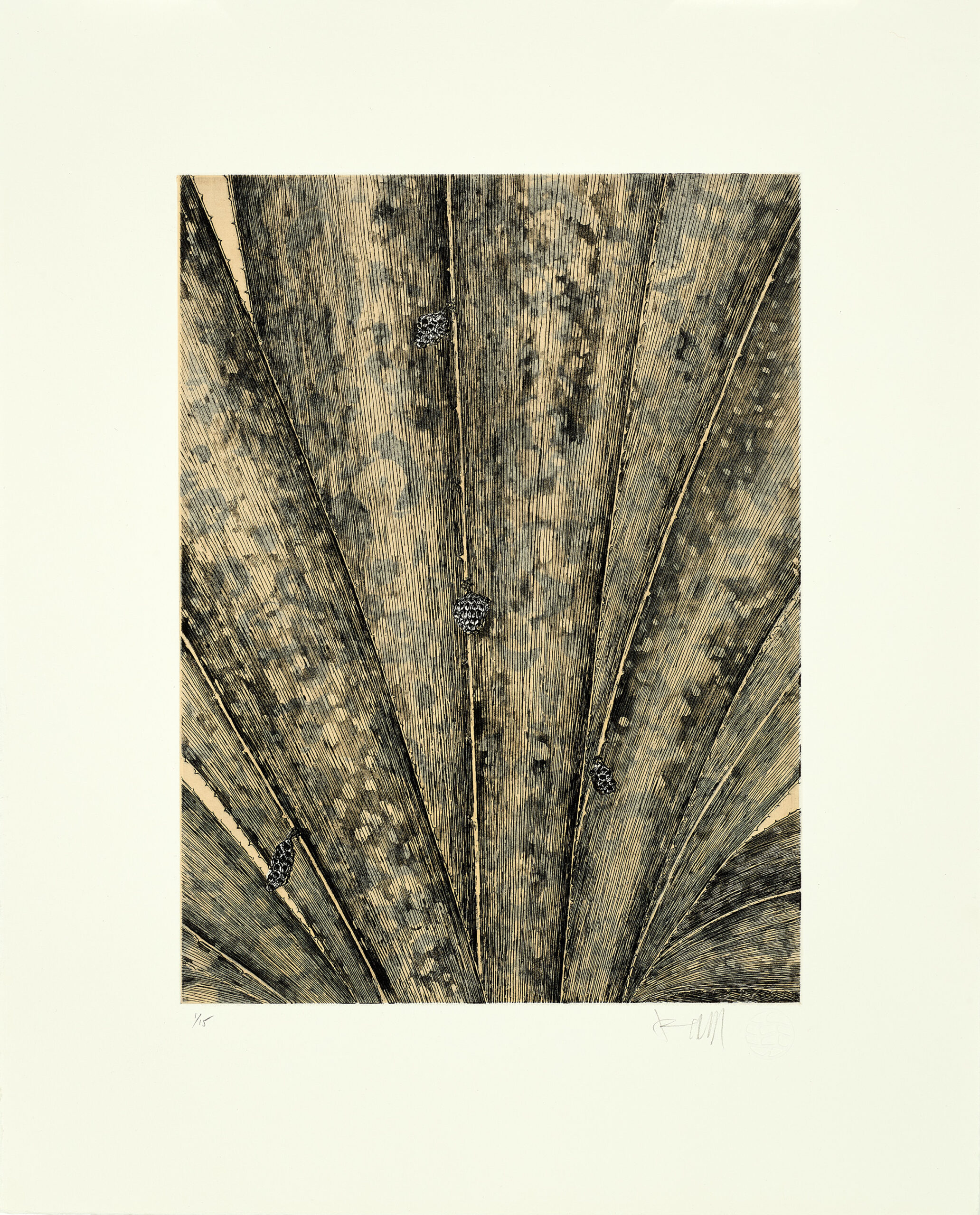 SUITE OF FIVE ETCHINGS