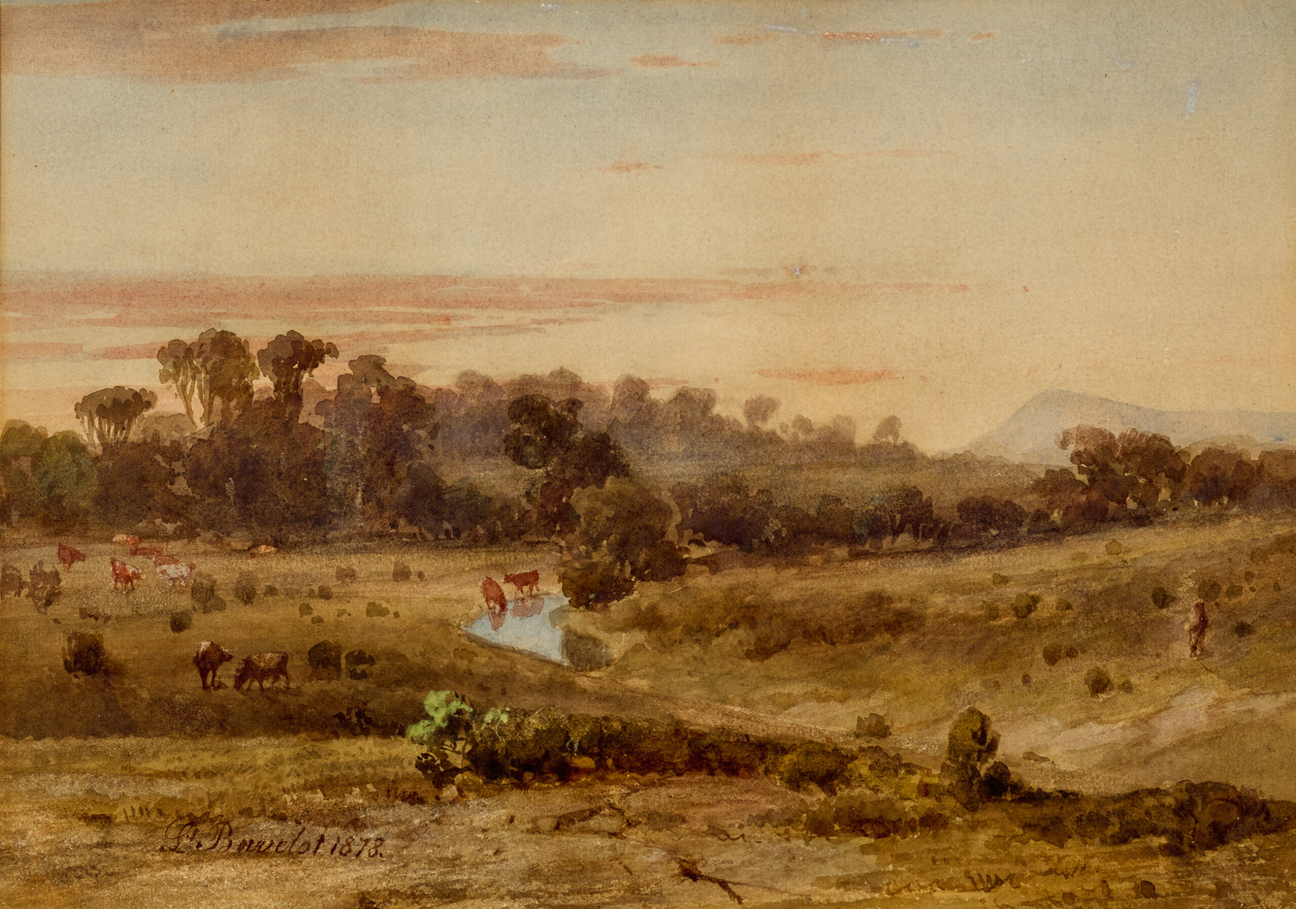 CATTLE GRAZING